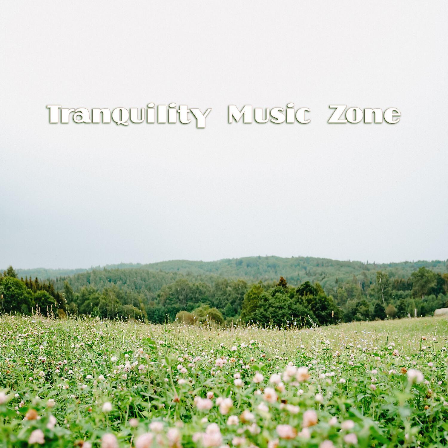 Calm Music Zone - Inner Voicings