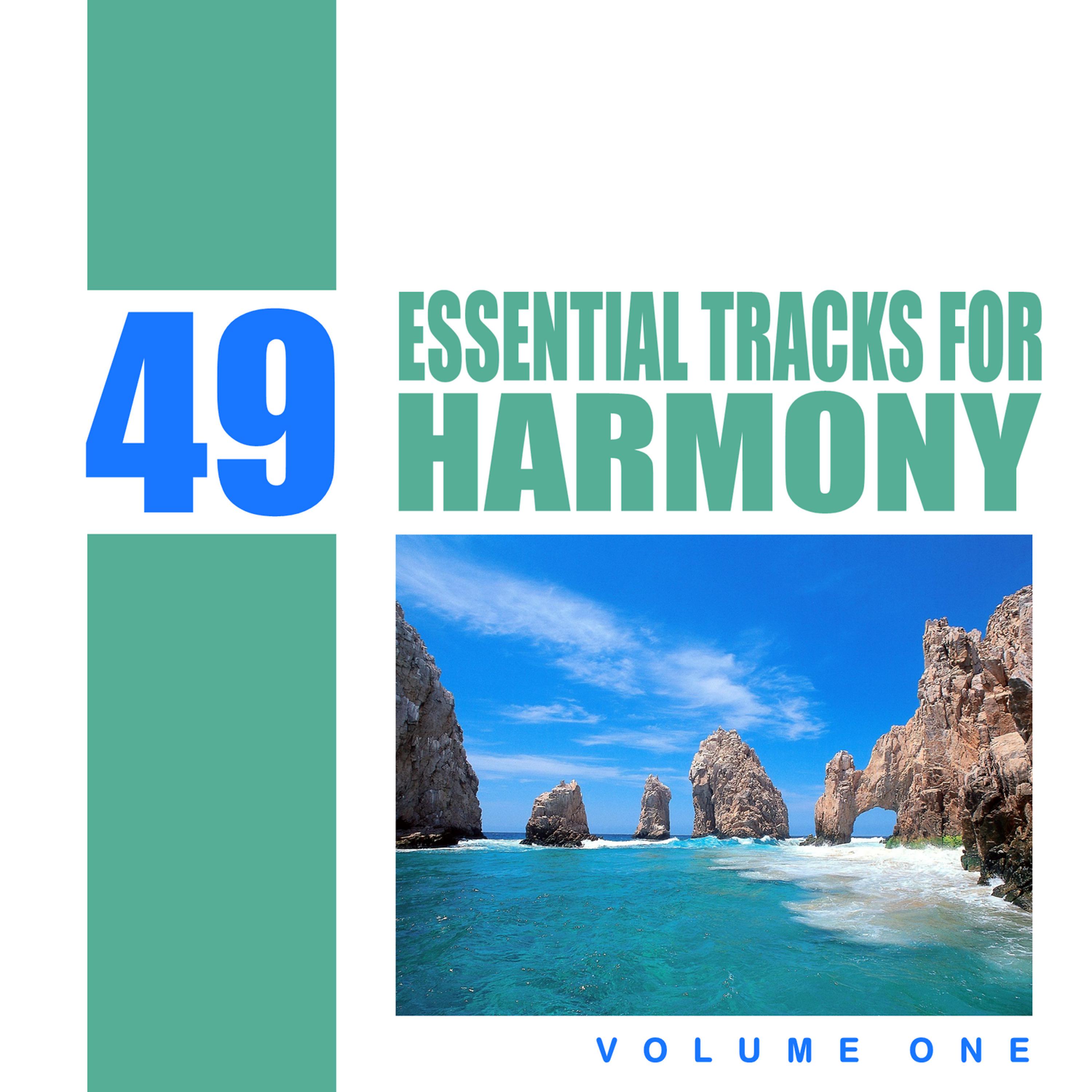 Постер альбома 49 Essential Tracks for Harmony, Vol 1