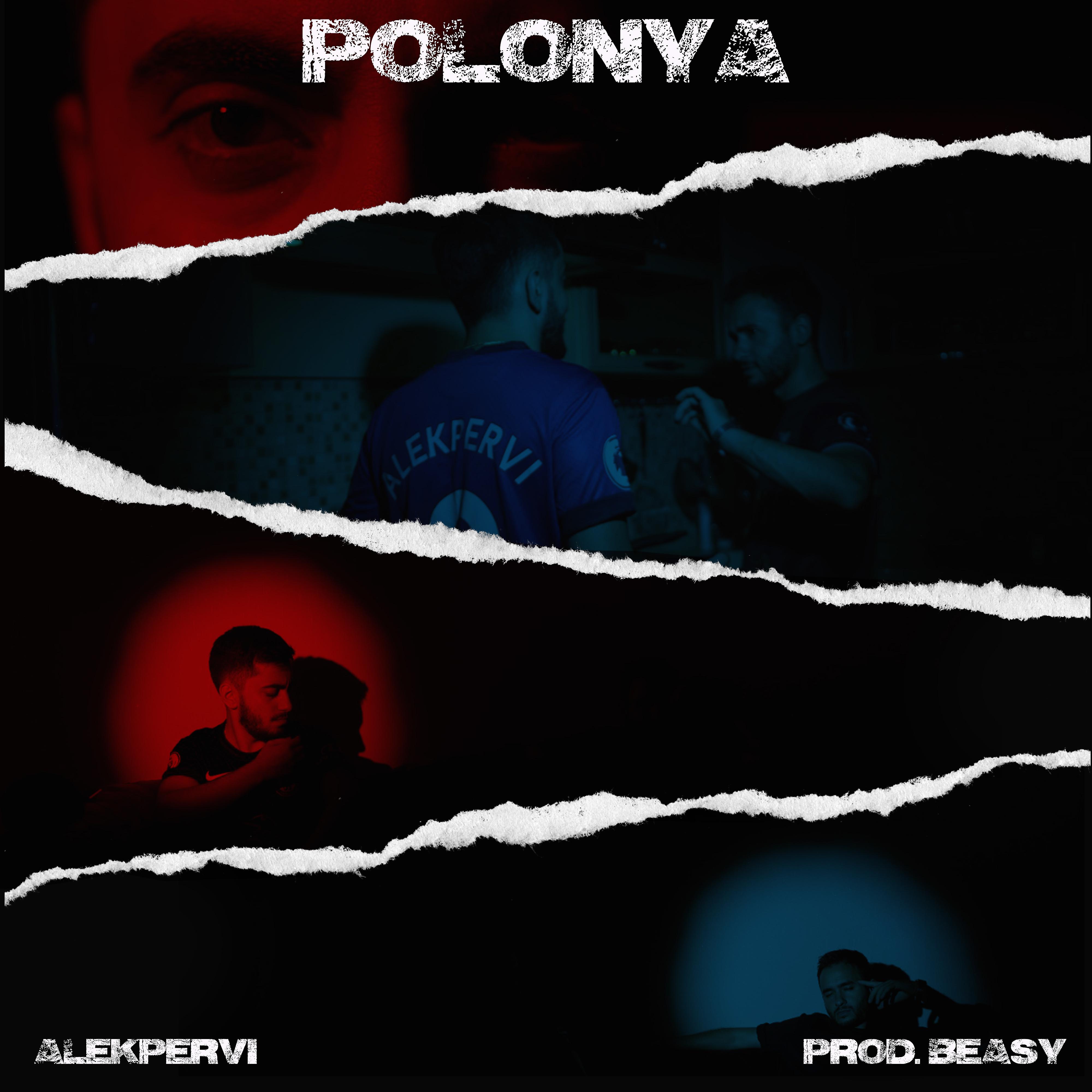 Постер альбома Polonya