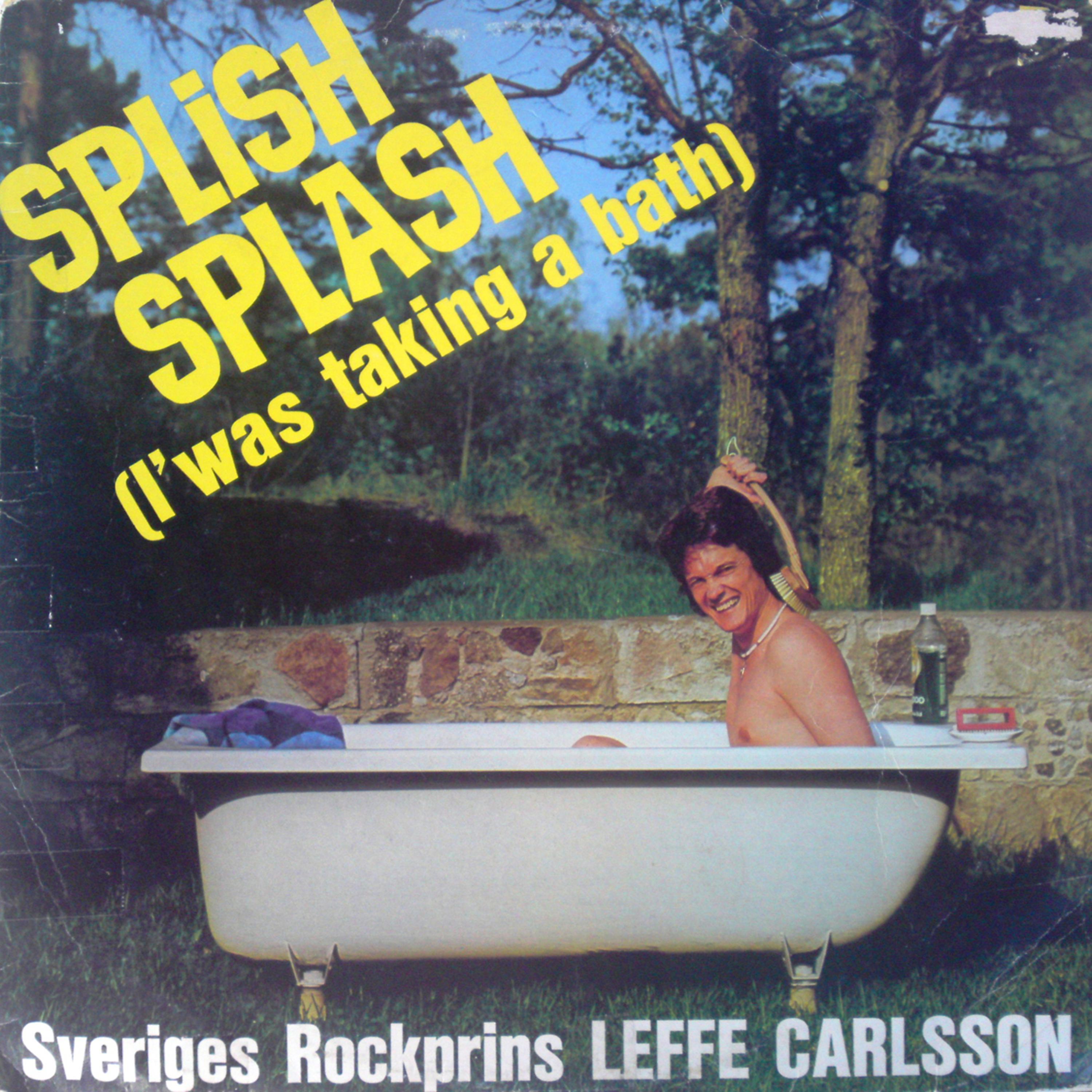 Постер альбома Splish Splash (I Was Takin' A Bath)