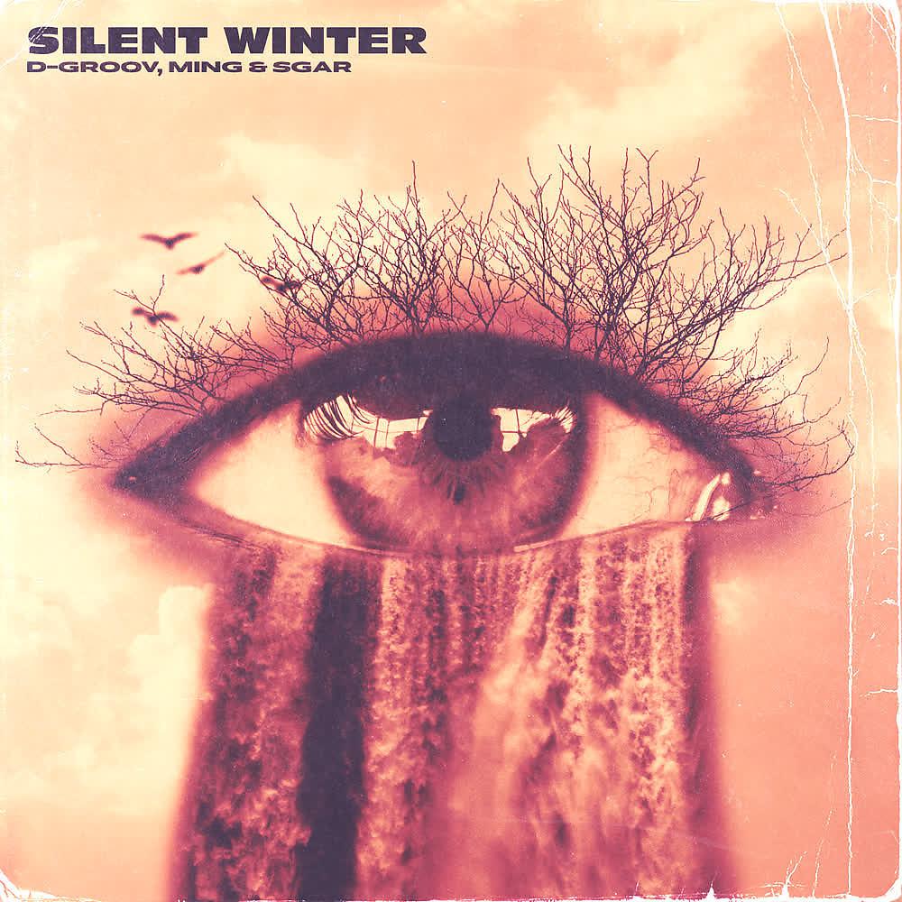 Постер альбома Silent Winter