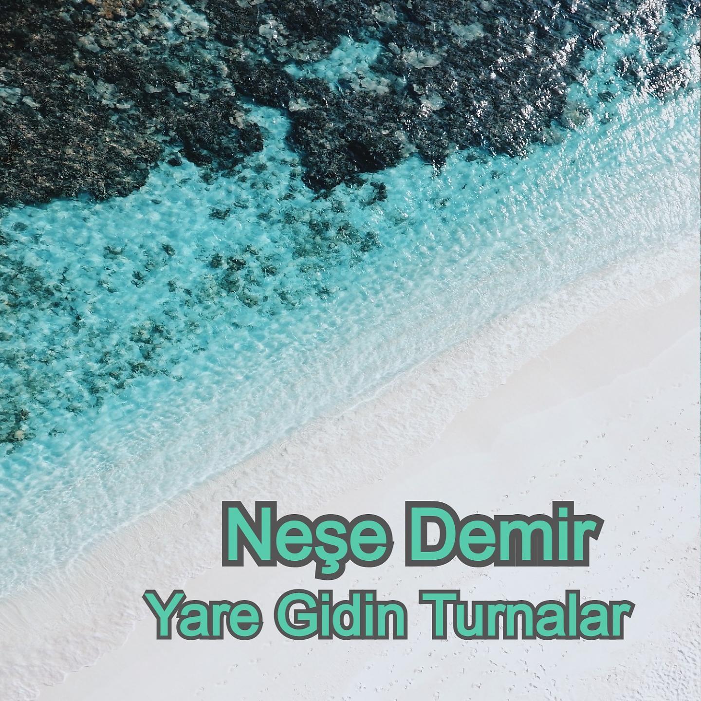 Постер альбома Yare Gidin Turnalar