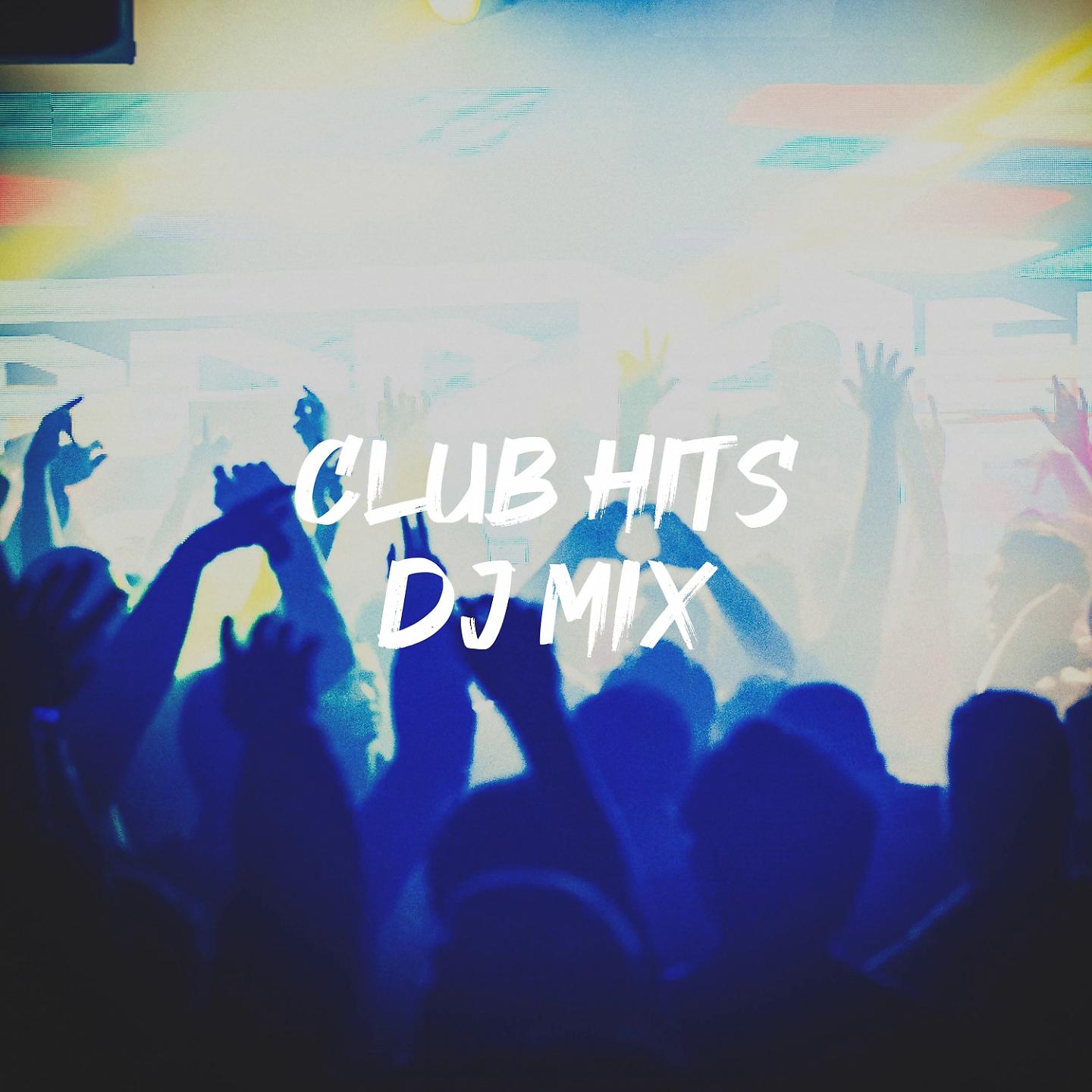 Постер альбома Club Hits DJ Mix