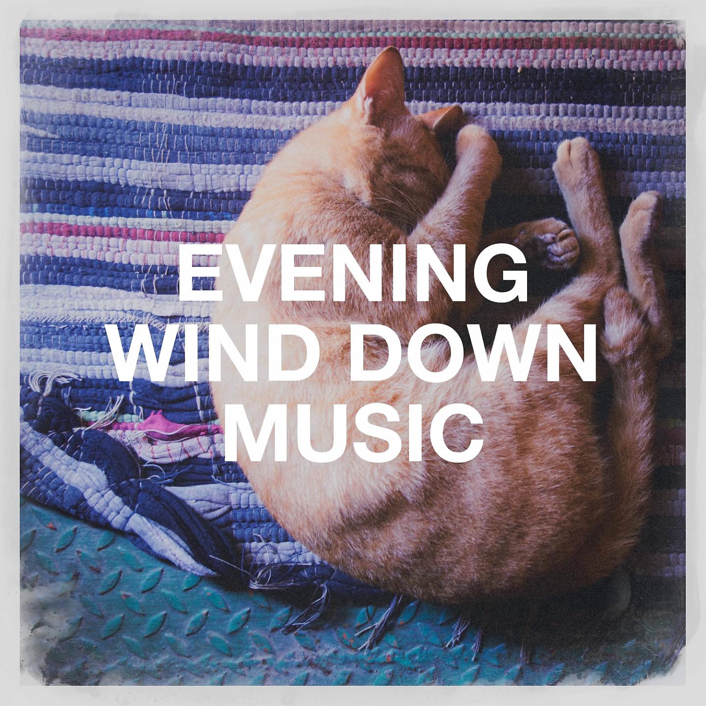 Постер альбома Evening Wind Down Music