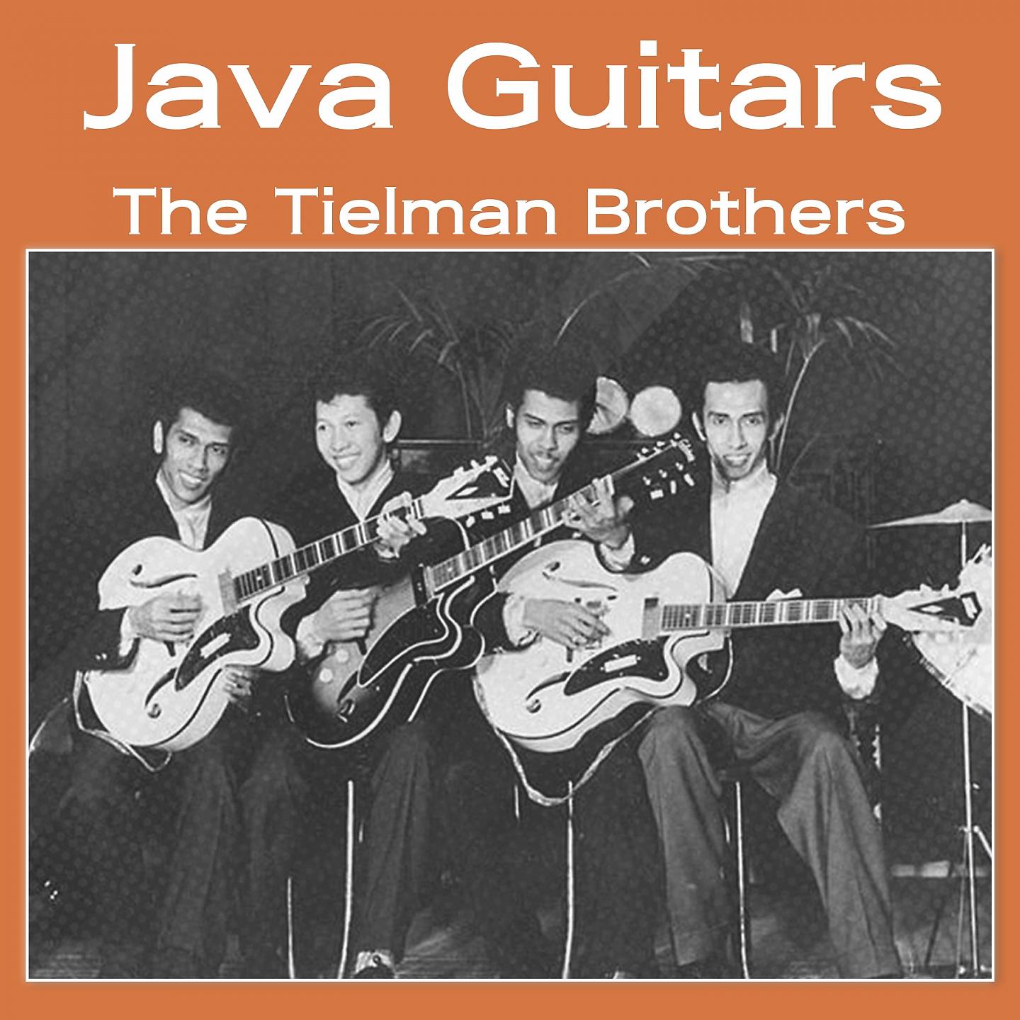 Постер альбома Java Guitars