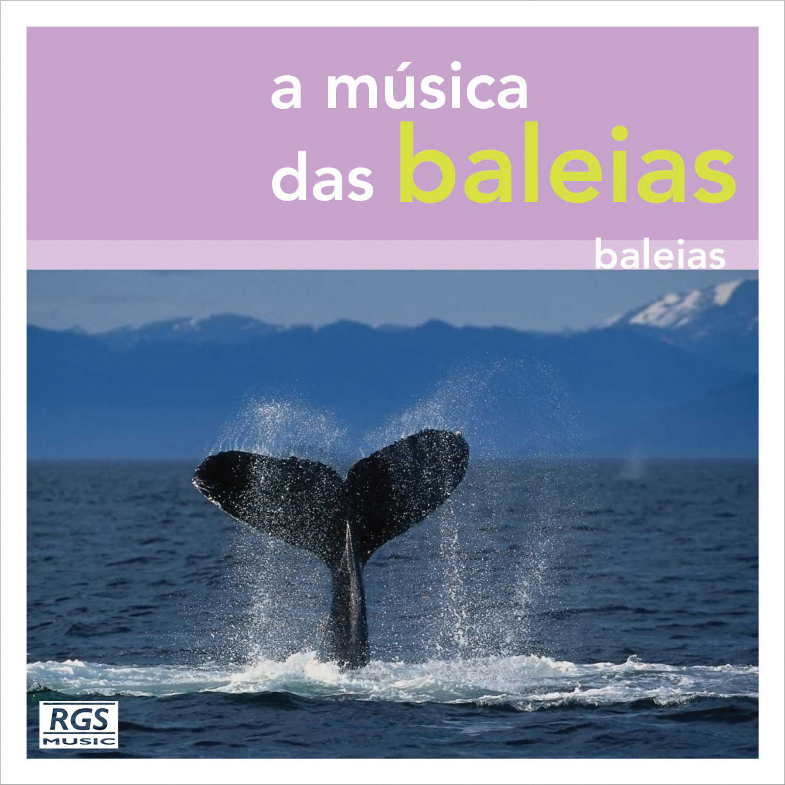 Marcelo A. Rodríguez - Llamadas Marinas