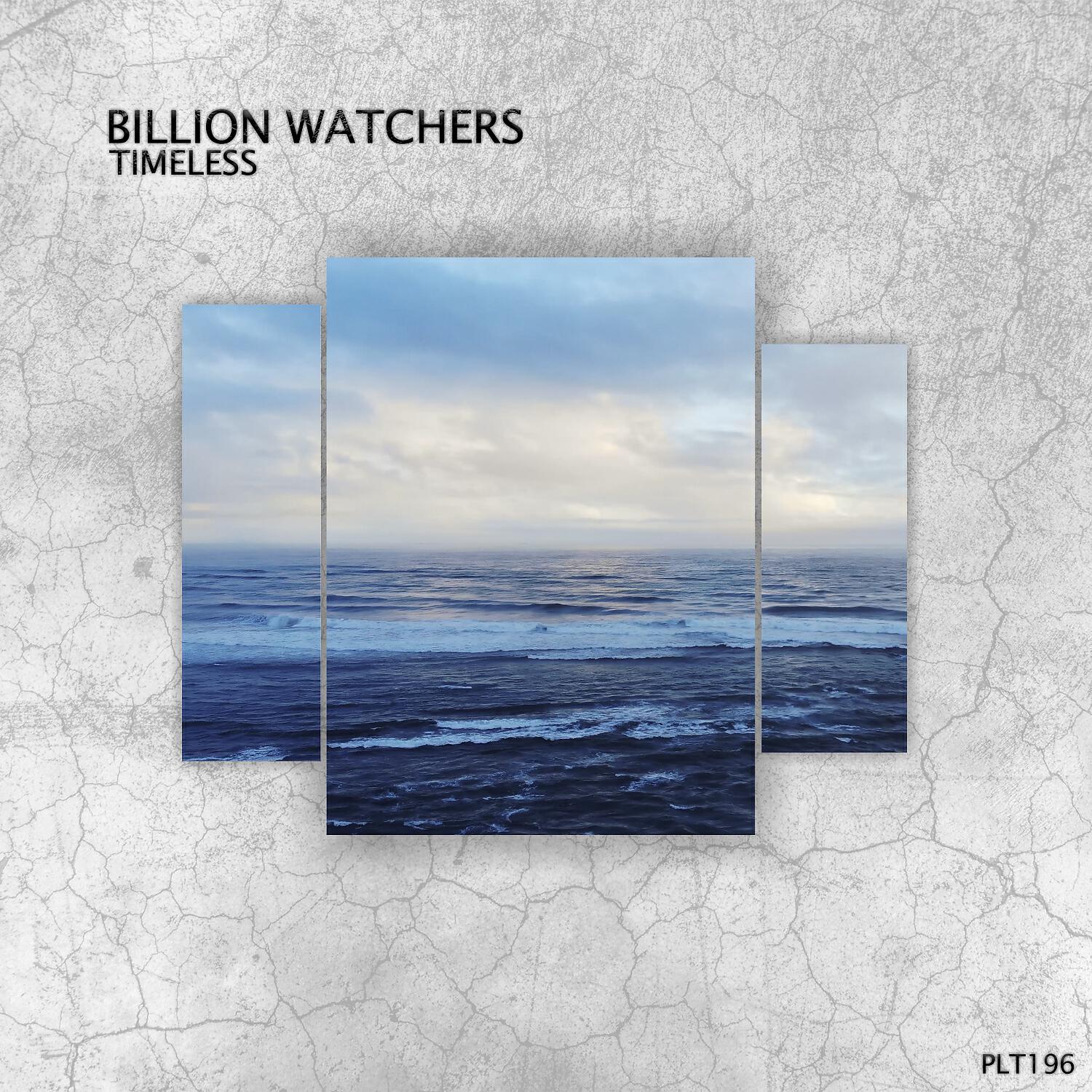 Billion Watchers - Does Goran Bregovic Dream of Electric Music (Short Edit)
