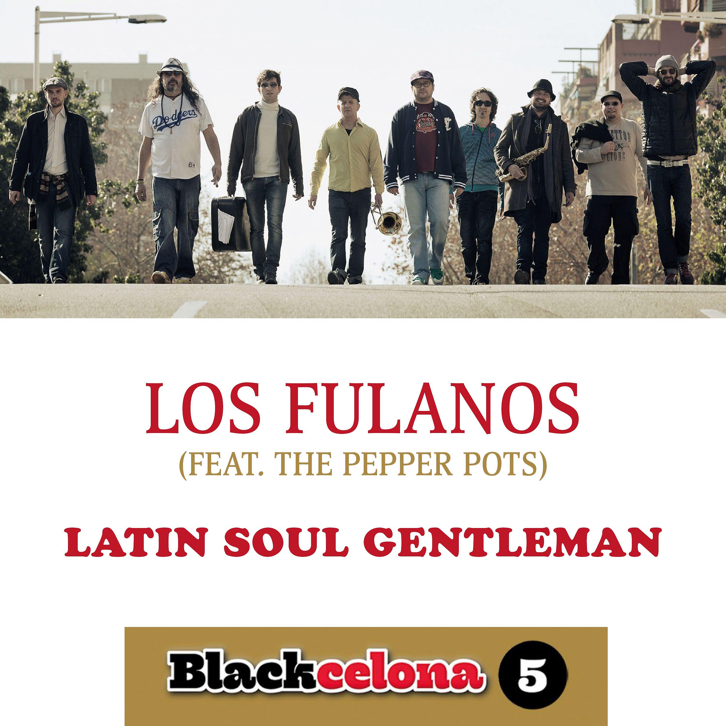Постер альбома Latin Soul Gentleman