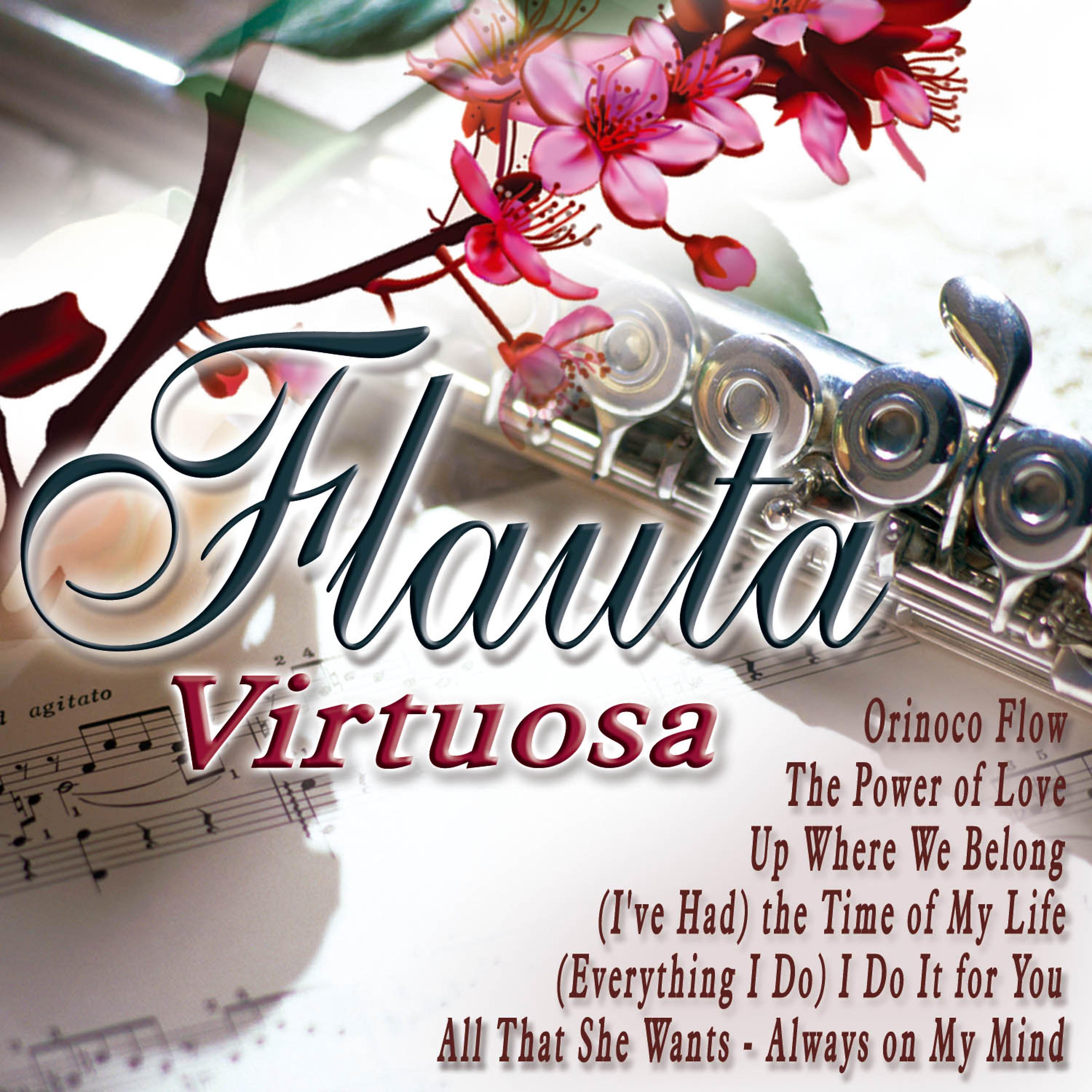 Постер альбома Flauta Virtuosa