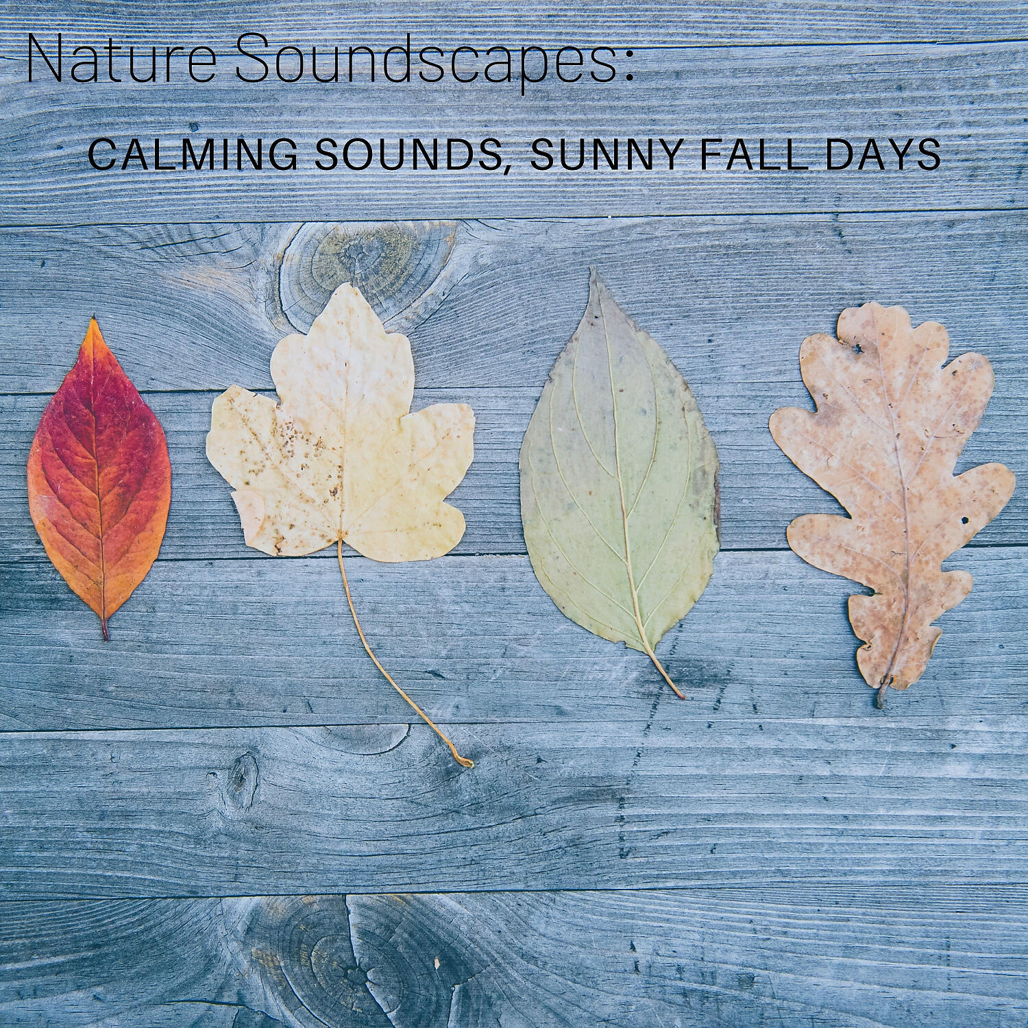 Sounds - Calmness of the Earth