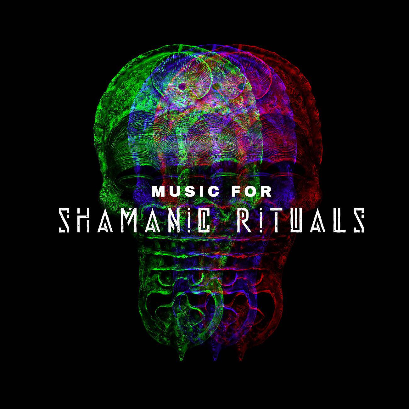 Native American Music Consort - Shamanic Healing Meditation