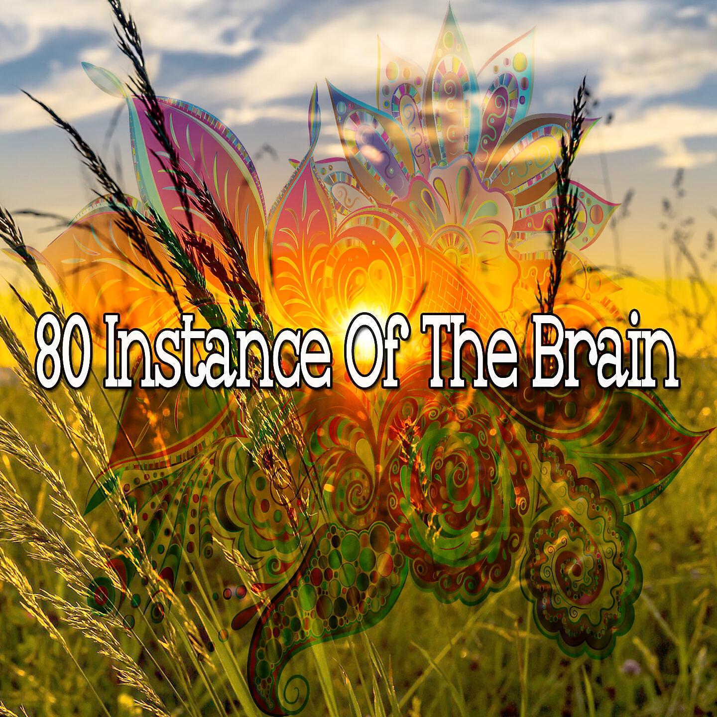 Zen Life Relax - Breath of the World