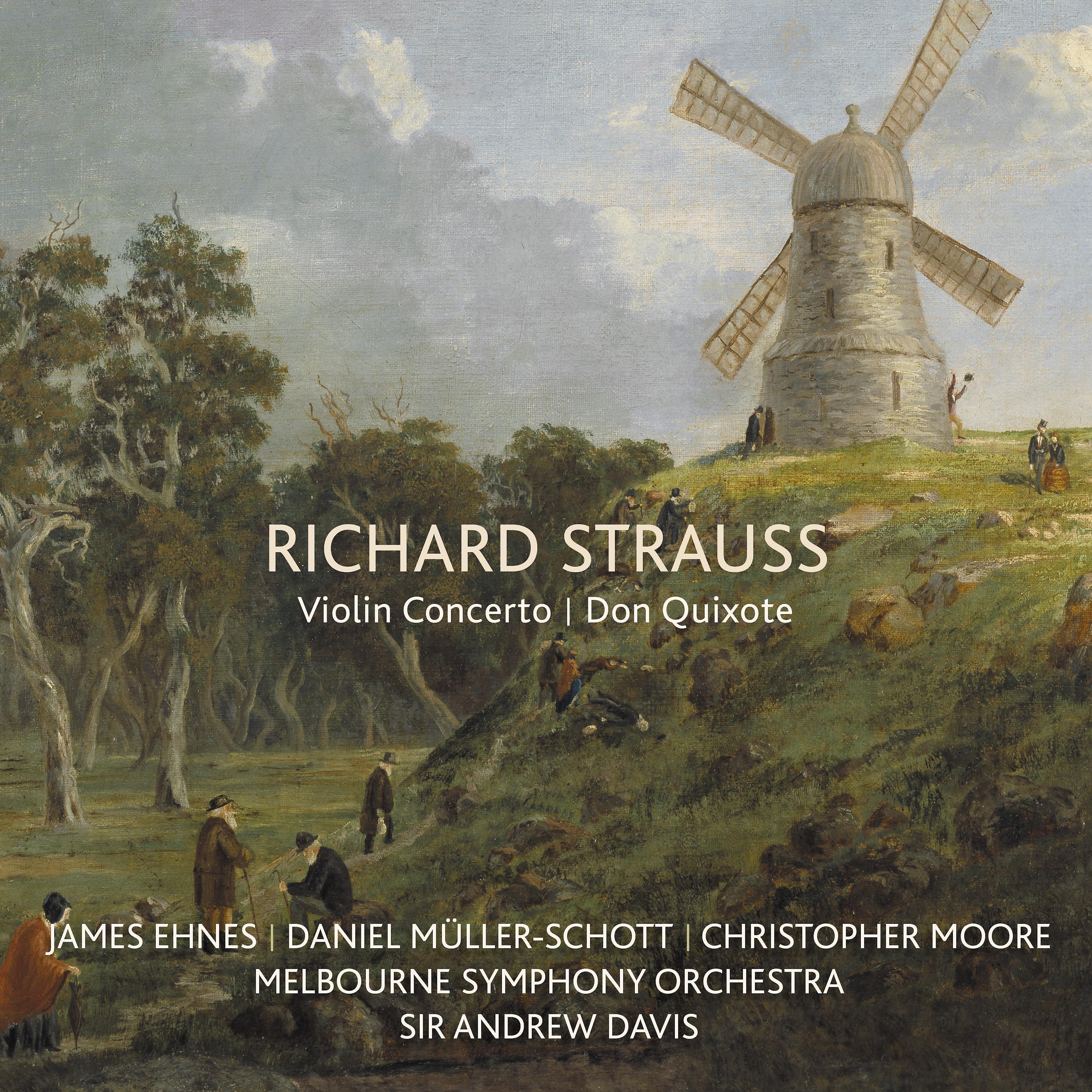 Постер альбома Richard Strauss: Violin Concerto / Don Quixote