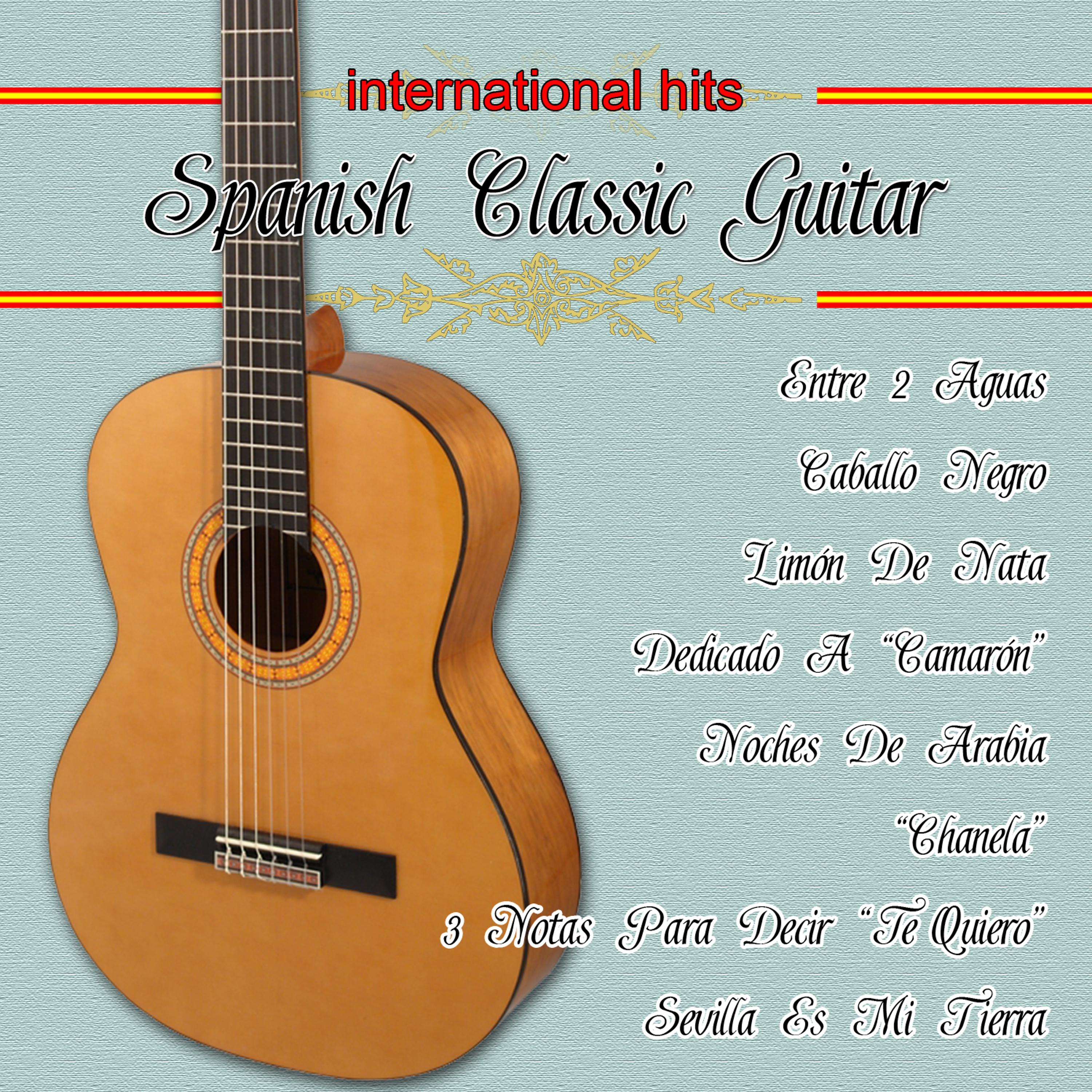 Постер альбома Spanish Guitar Classic. International Hits