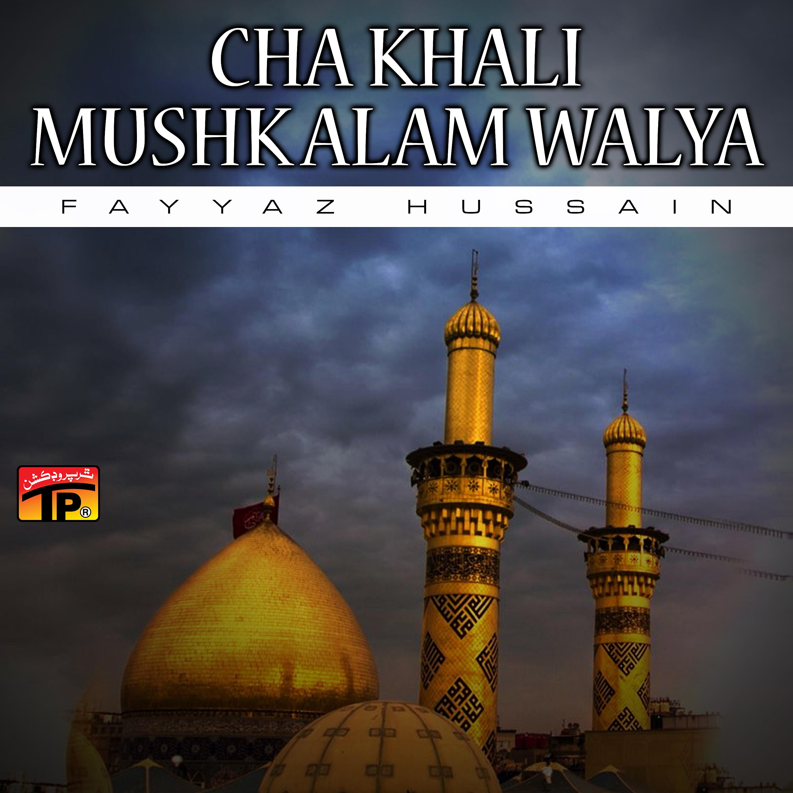 Постер альбома Cha Khali Mushk Alam Walya