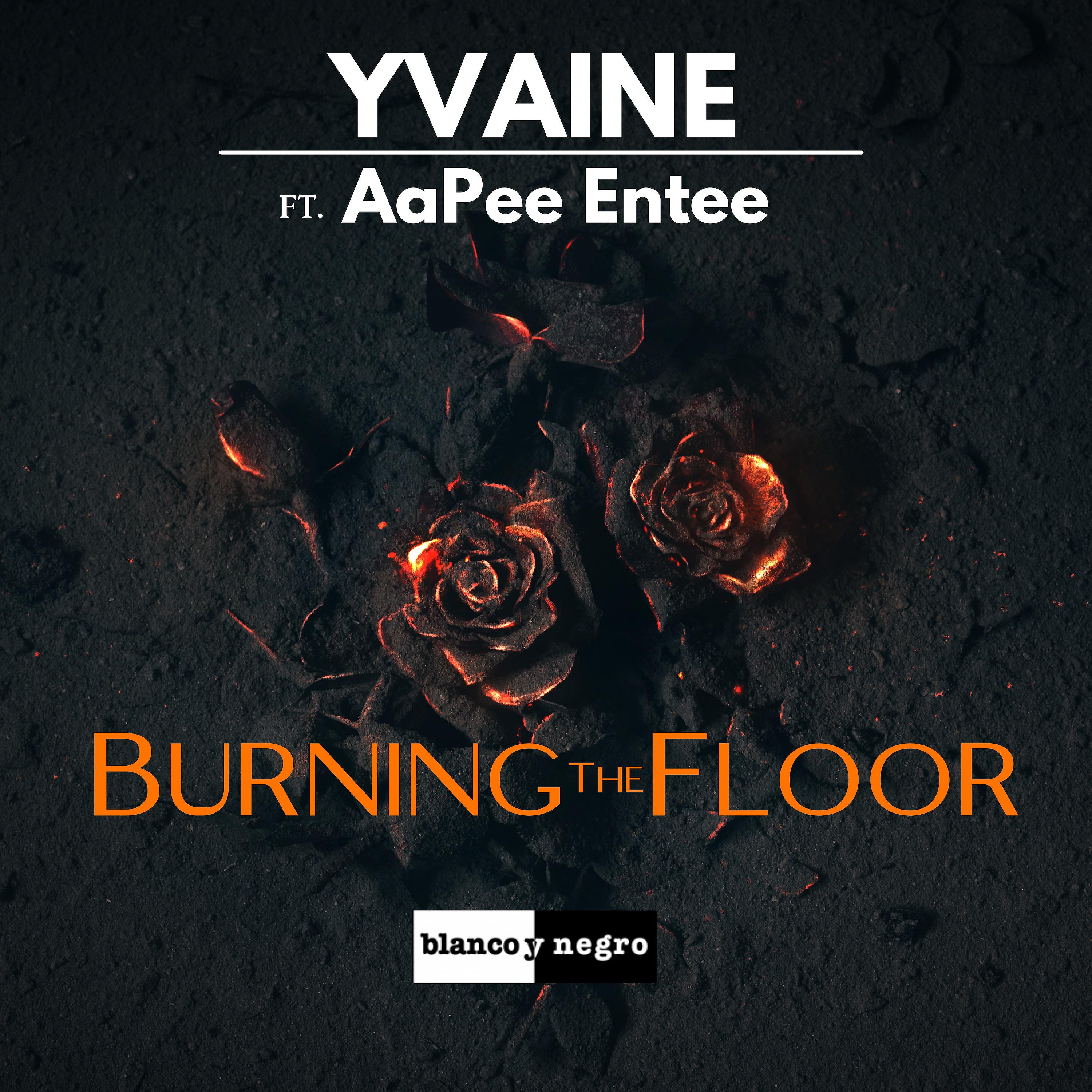 Постер альбома Burning the Floor