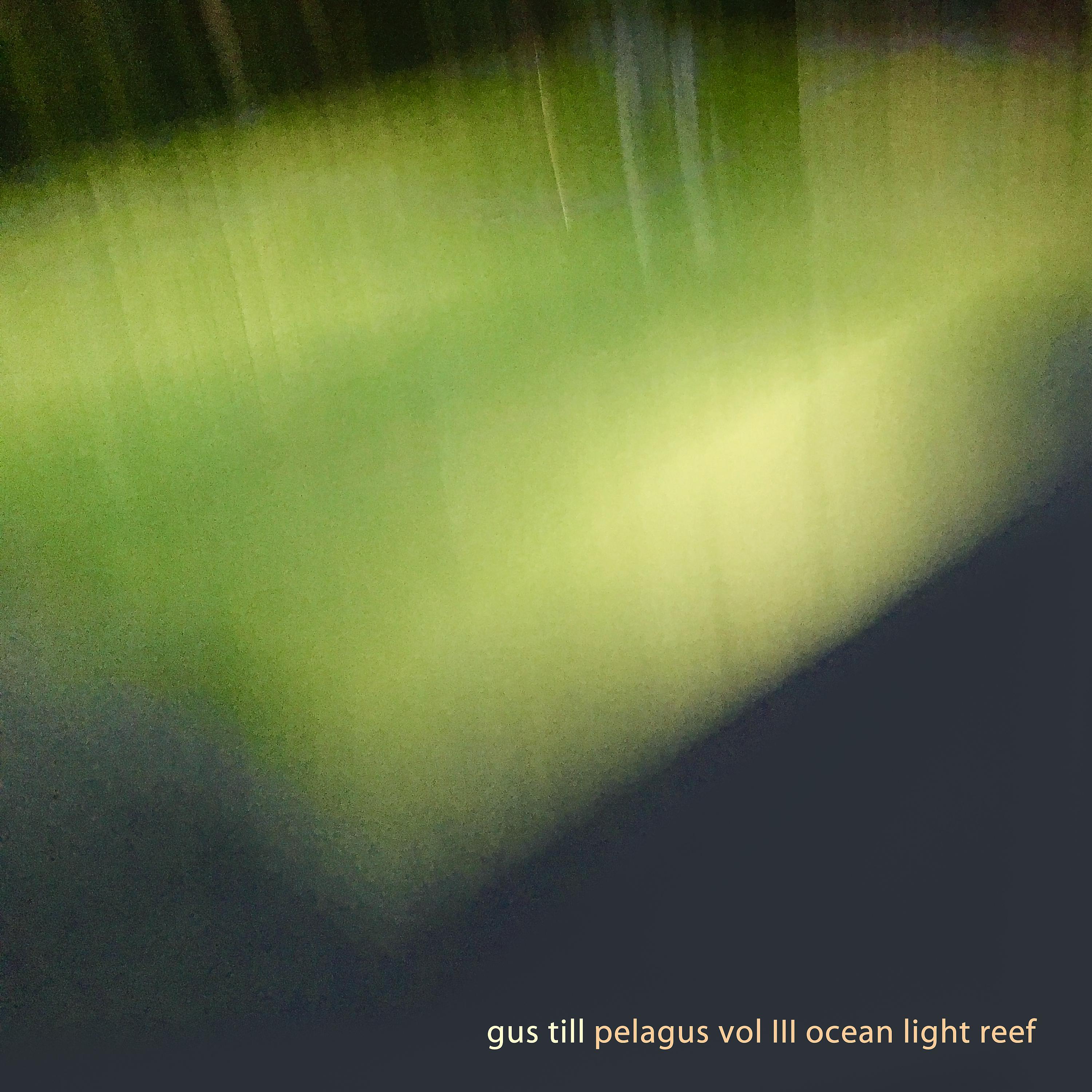 Постер альбома Pelagus, Vol. III: Ocean Light Reef