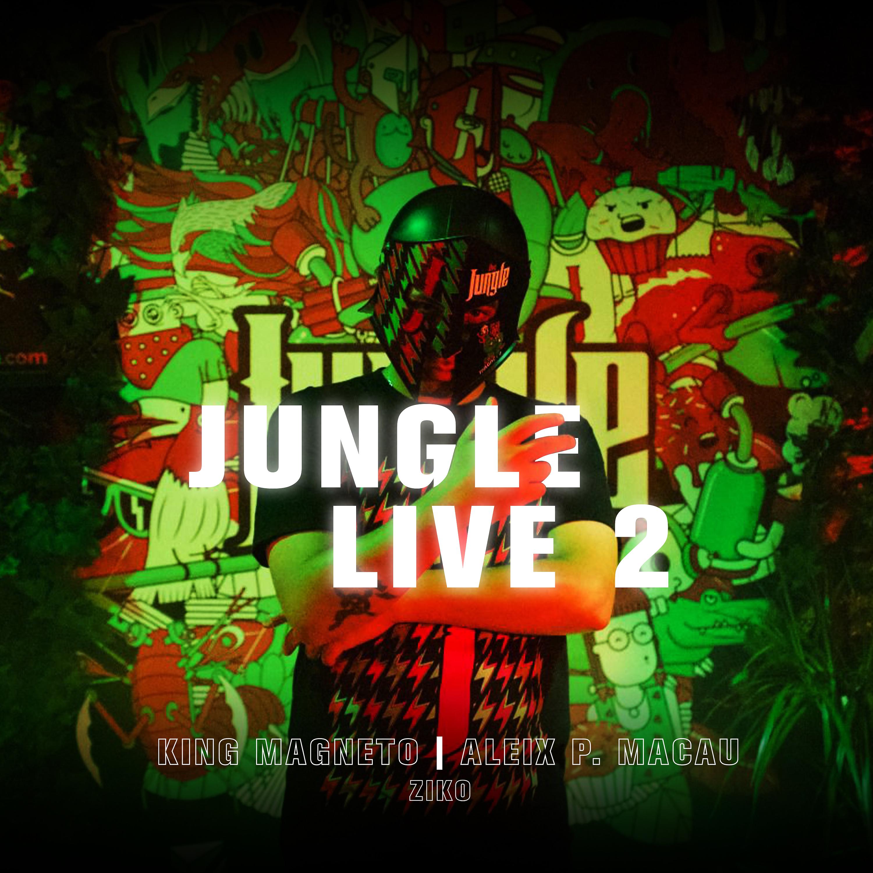 Постер альбома Jungle Live 2