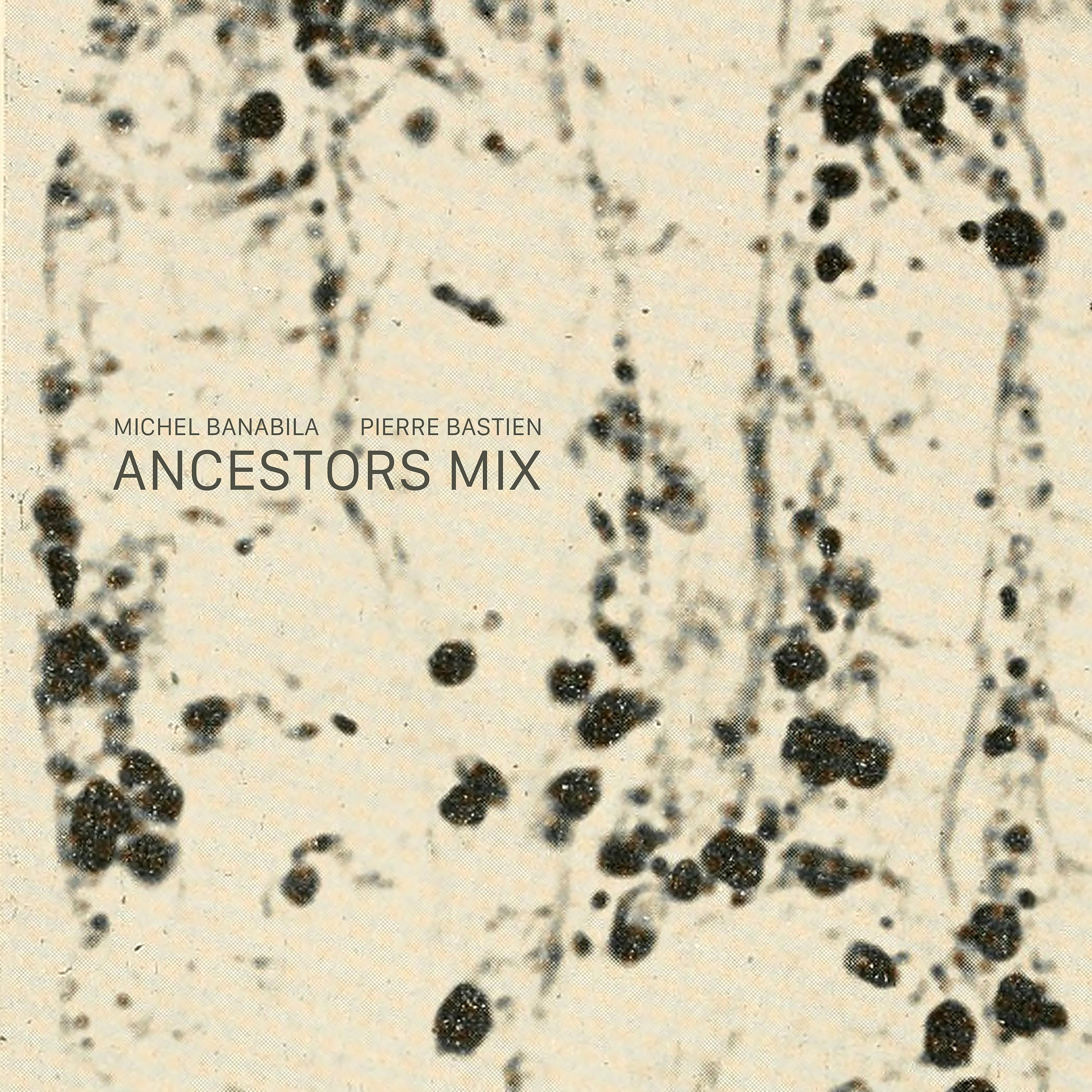 Постер альбома Ancestors Mix