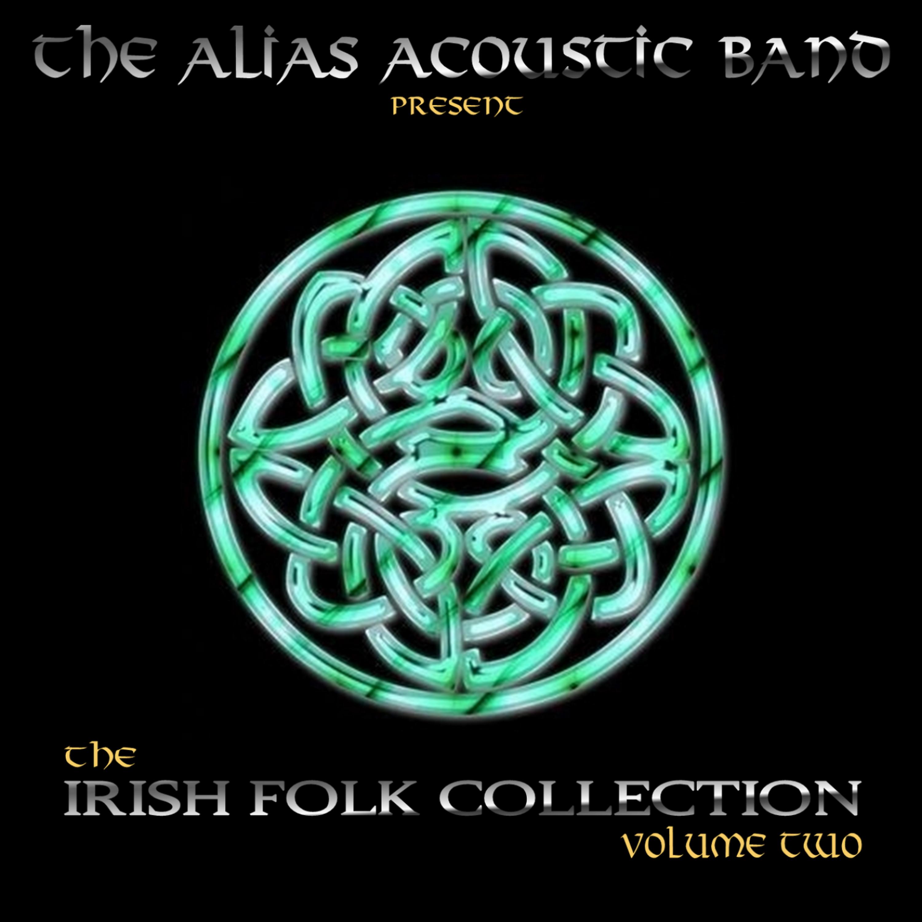 Постер альбома Irish Folk Vol. 2