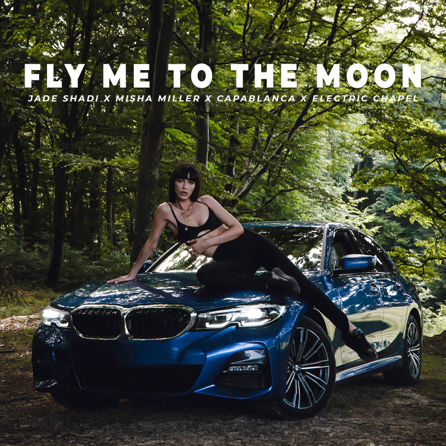 Постер альбома Fly Me To The Moon