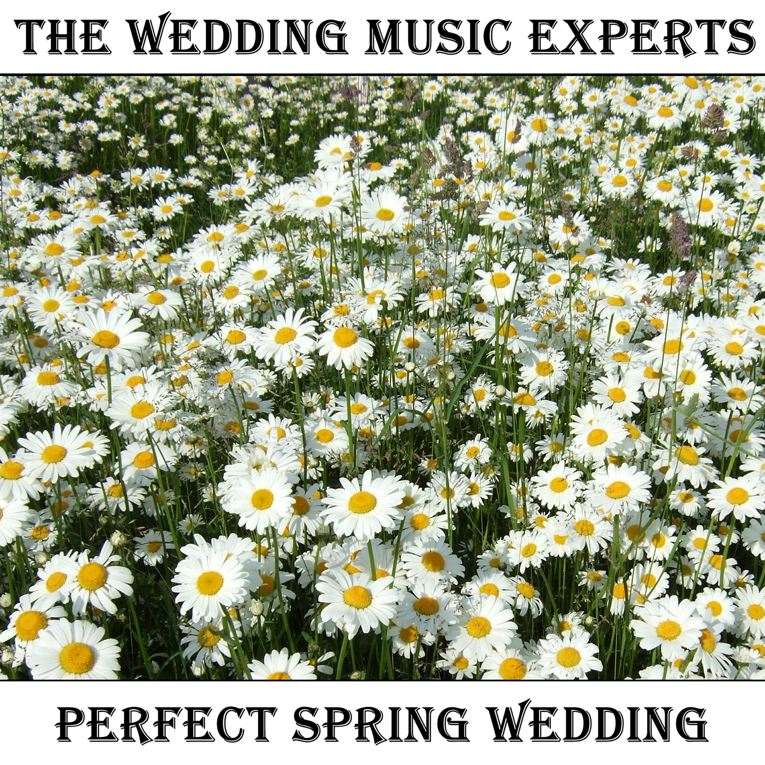 Classical Wedding Music Experts - The Wedding Song (There Is Love)