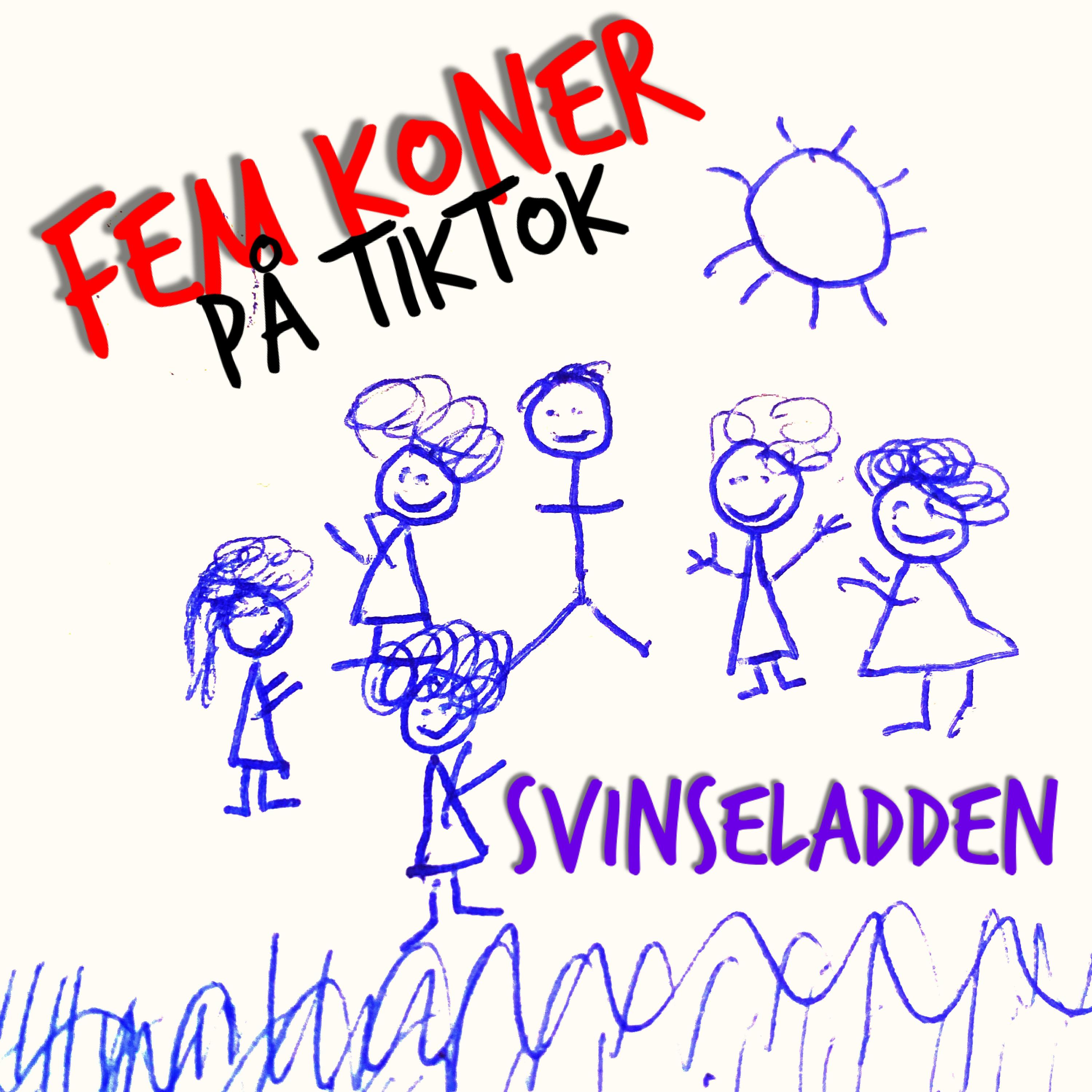 Постер альбома 5 Koner På TikTok