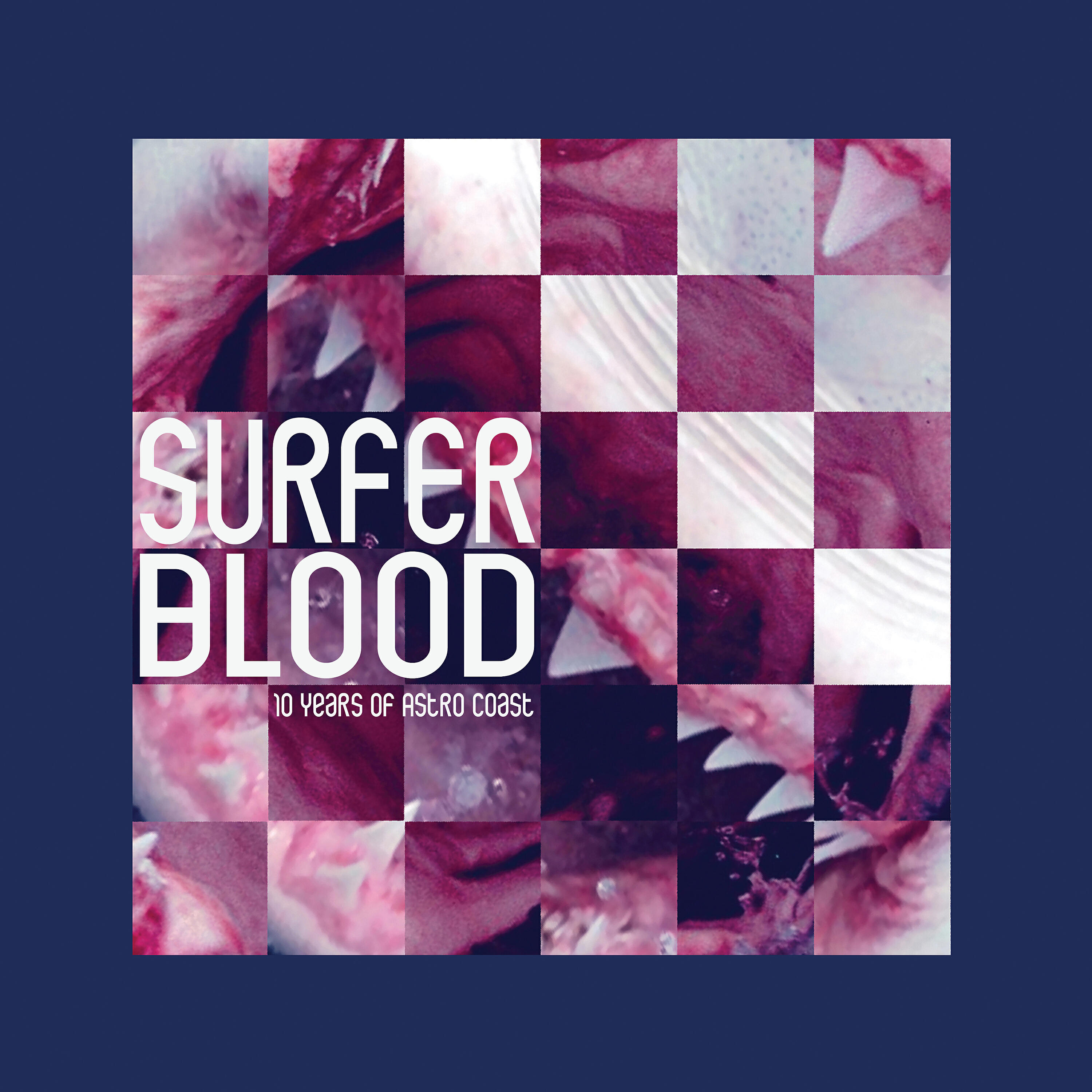 Surfer Blood - Harmonix