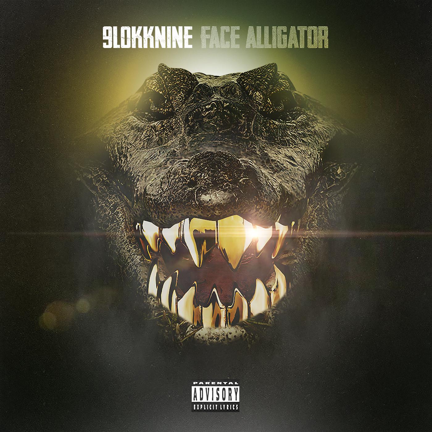 Постер альбома Face Alligator