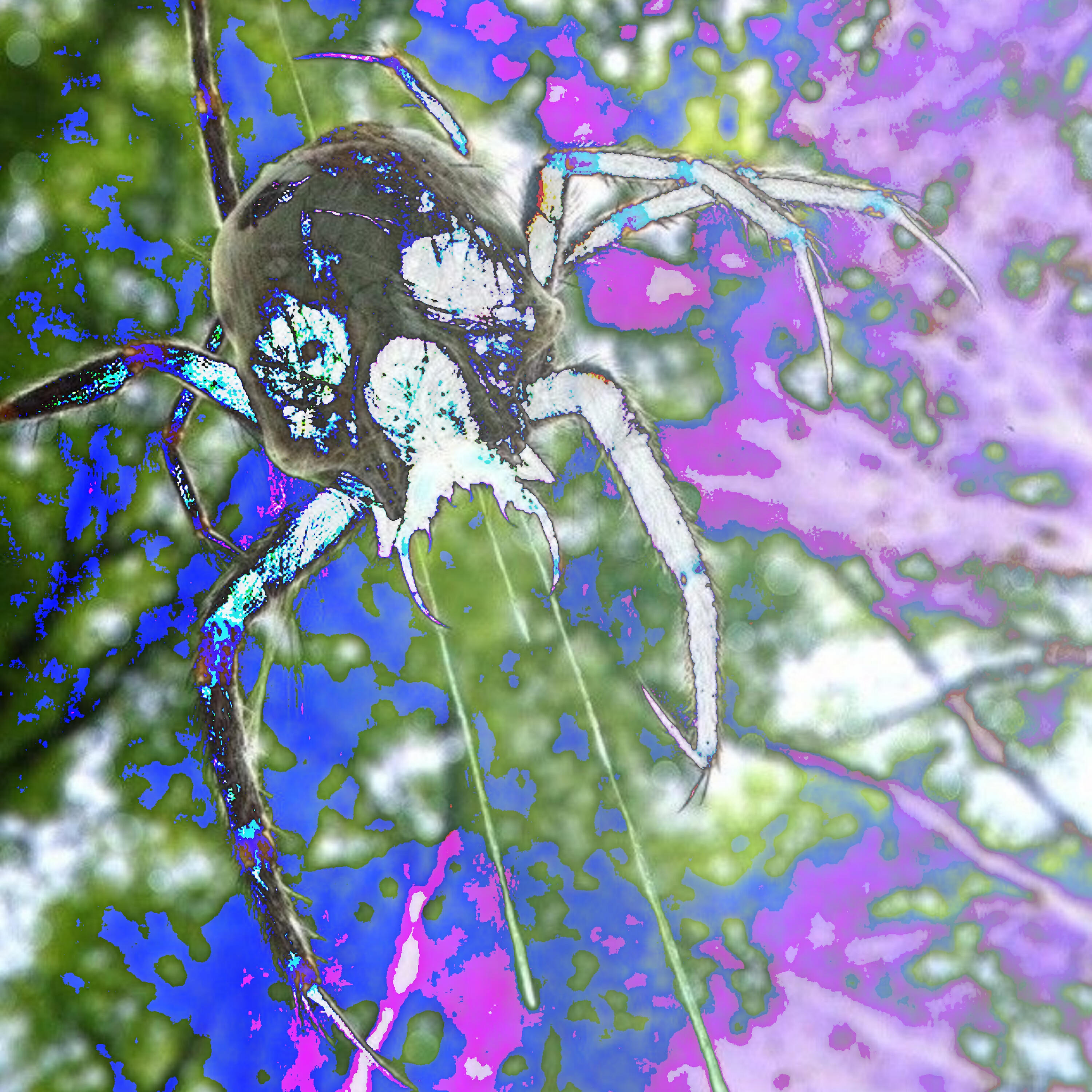 Spiderweek - Стимул (doomed)