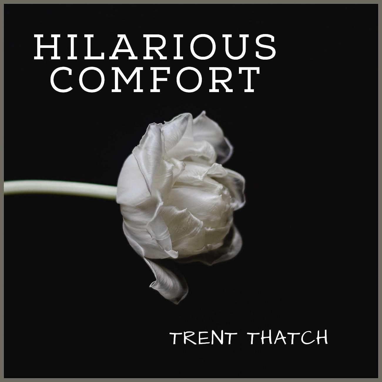 Постер альбома Hilarious Comfort