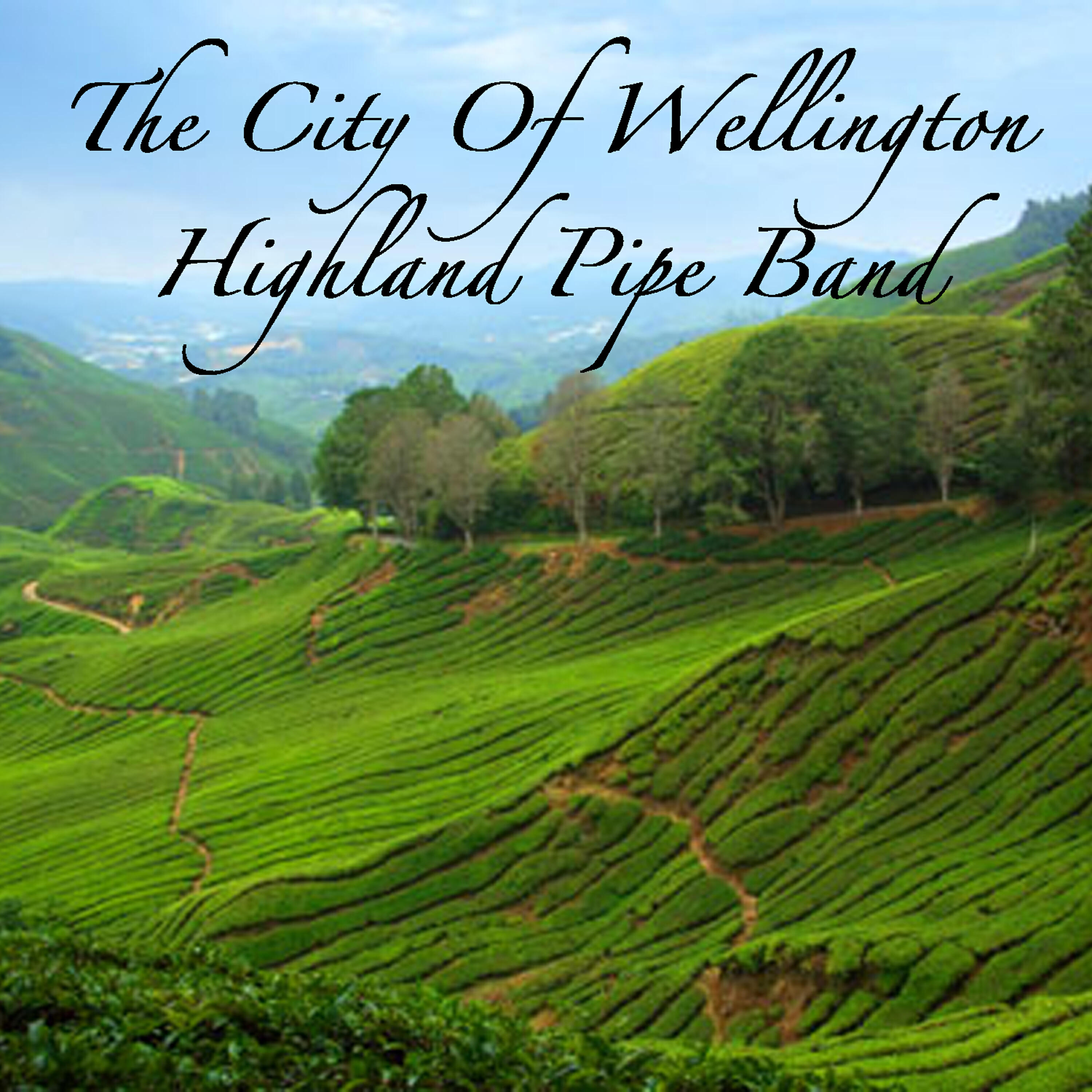The City Of Wellington Highland Pipe Band - Marches: The Tronoto Scottish Regiment