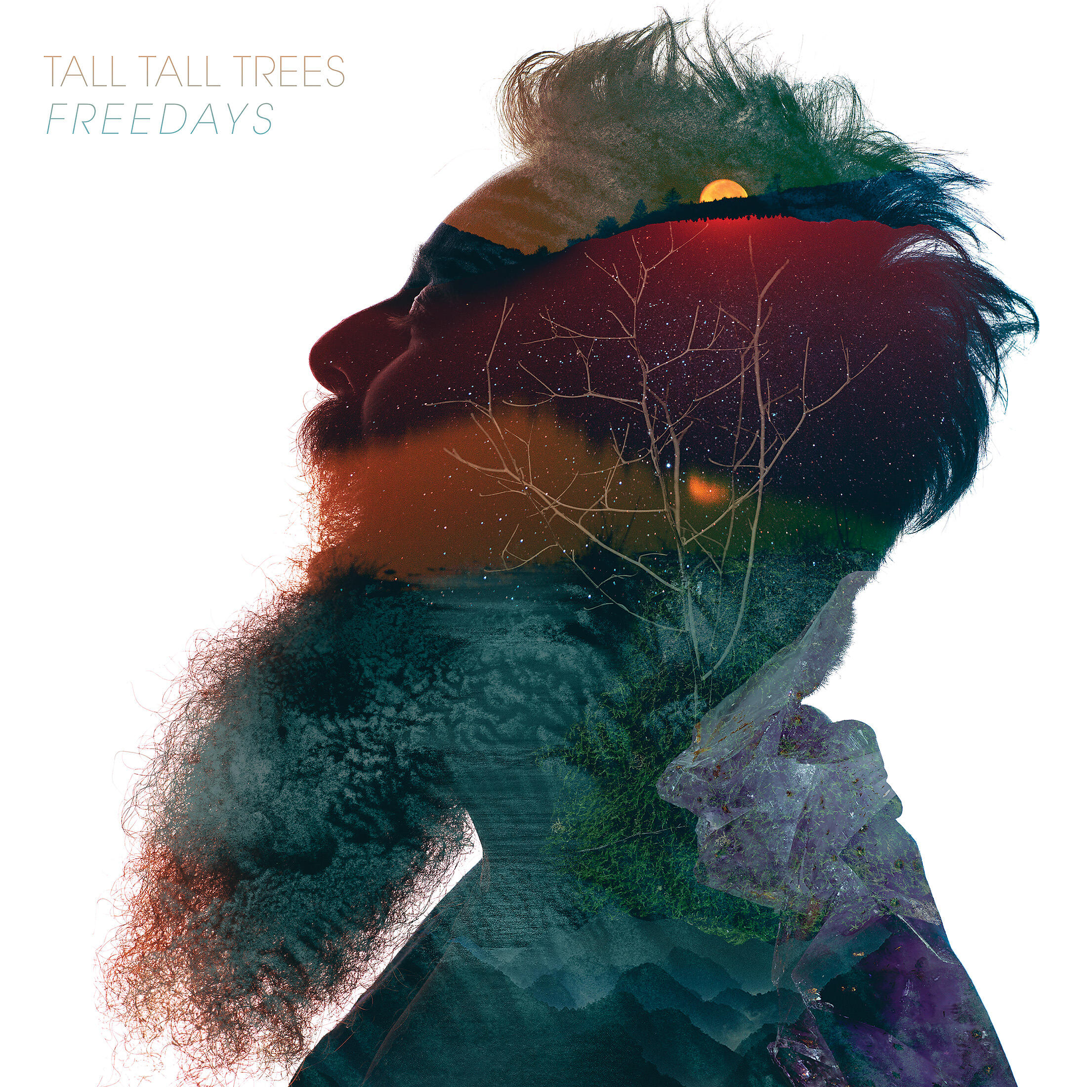 Tall Tall Trees - Being There
