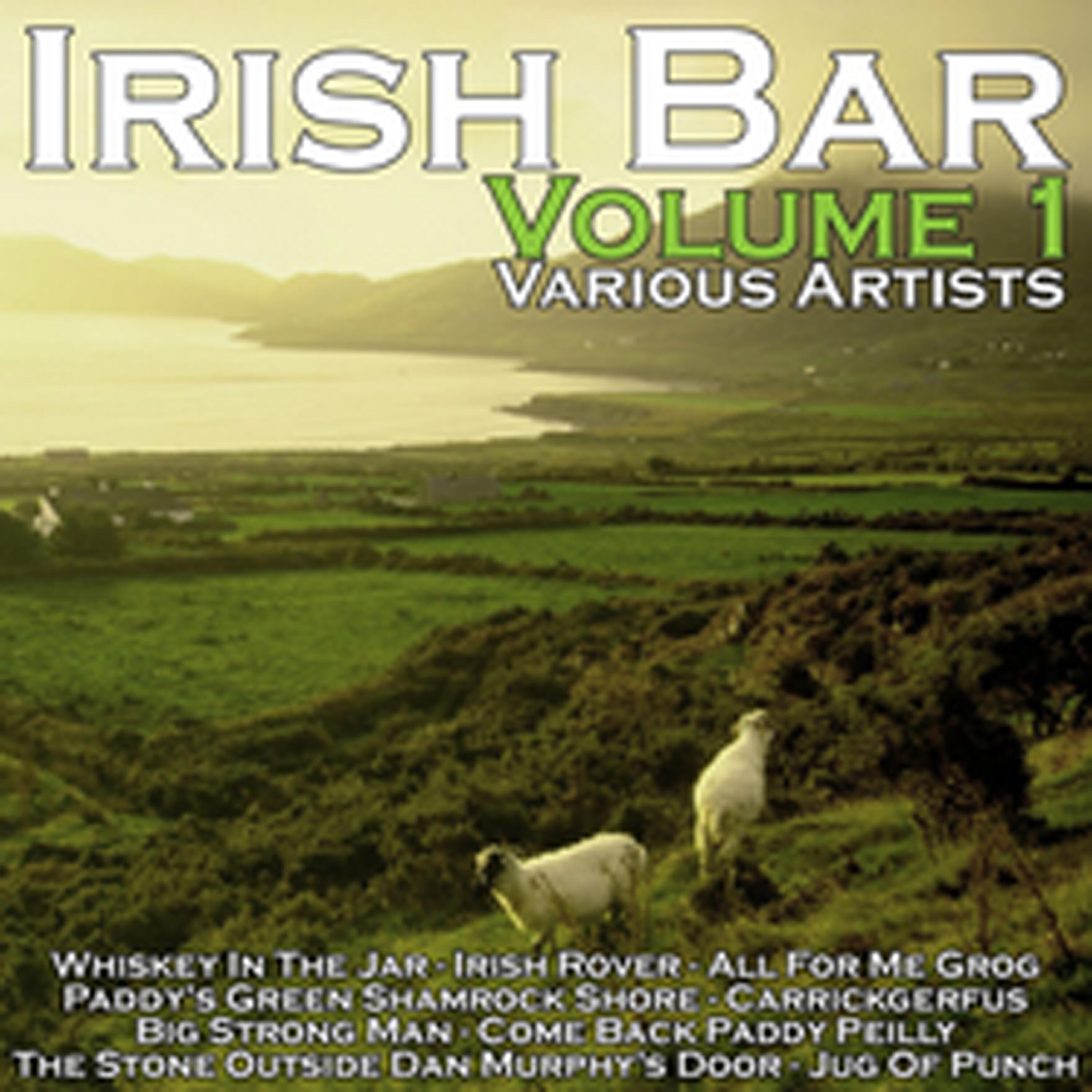 Zonin - I Am a Ramblin' Irishman