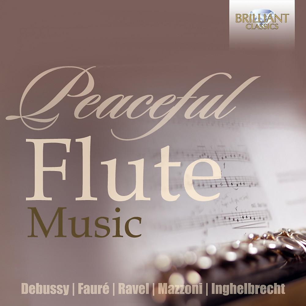 Постер альбома Peaceful Flute Music