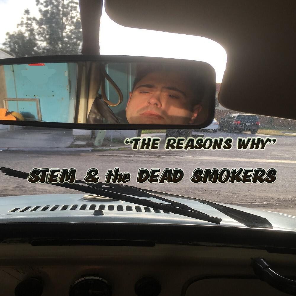 Stem - The Reasons Why