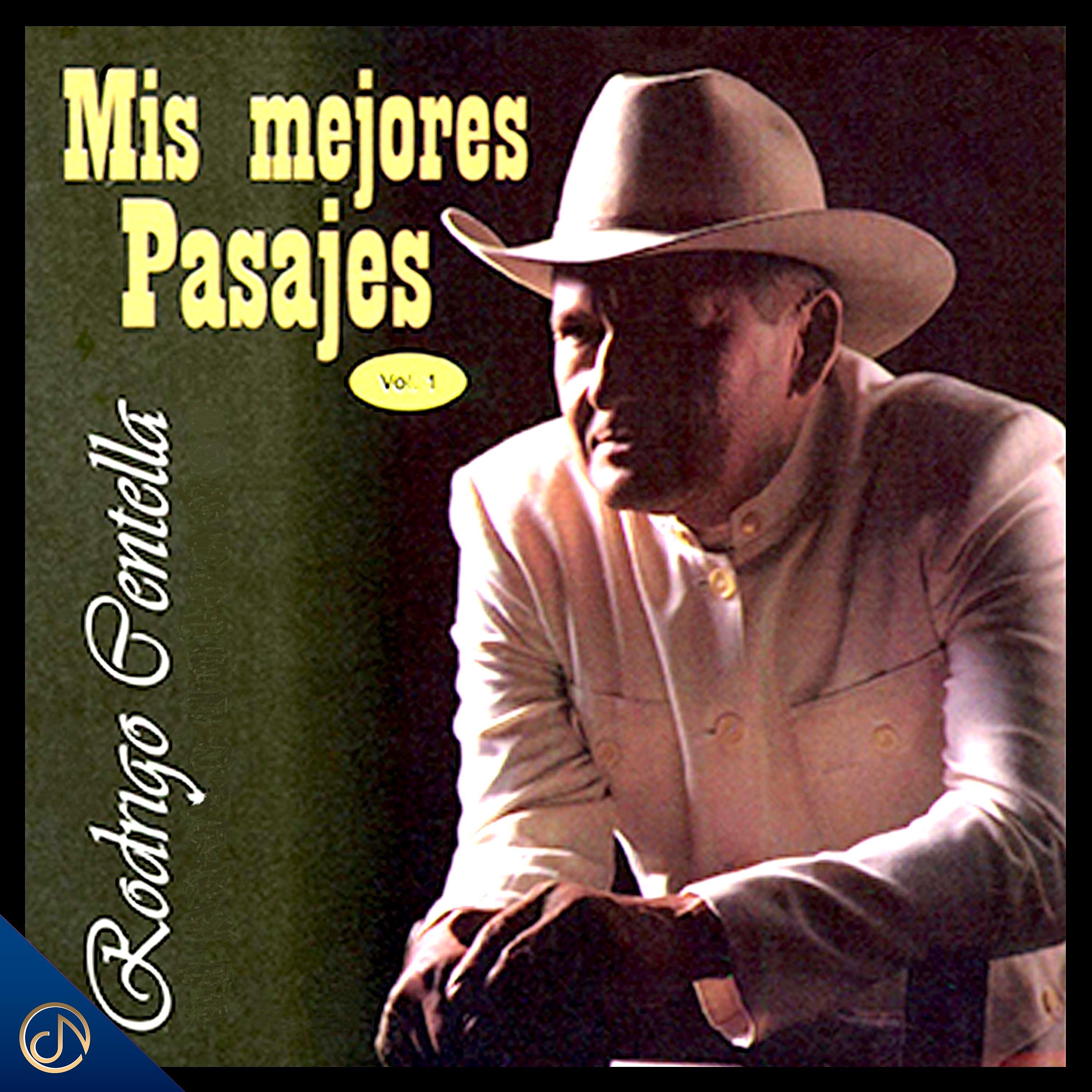 Постер альбома Mis Mejores Pasajes, Vol. 1
