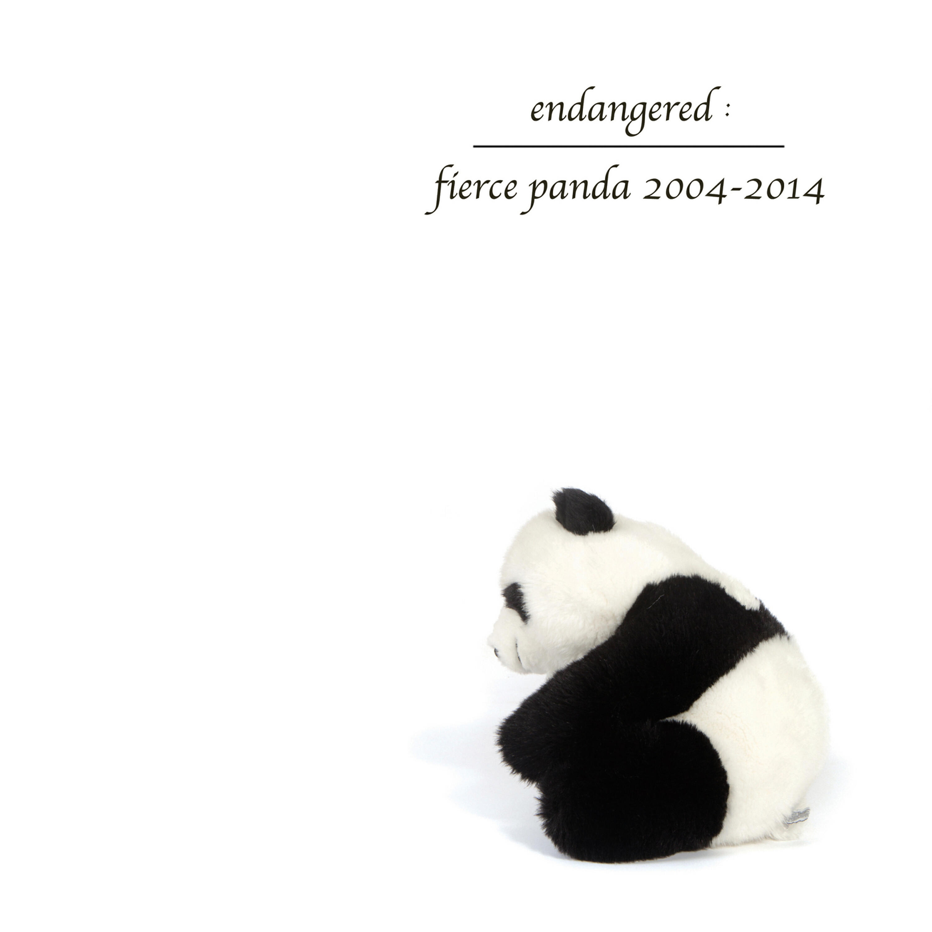 Woodpigeon - The Saddest Music in the World