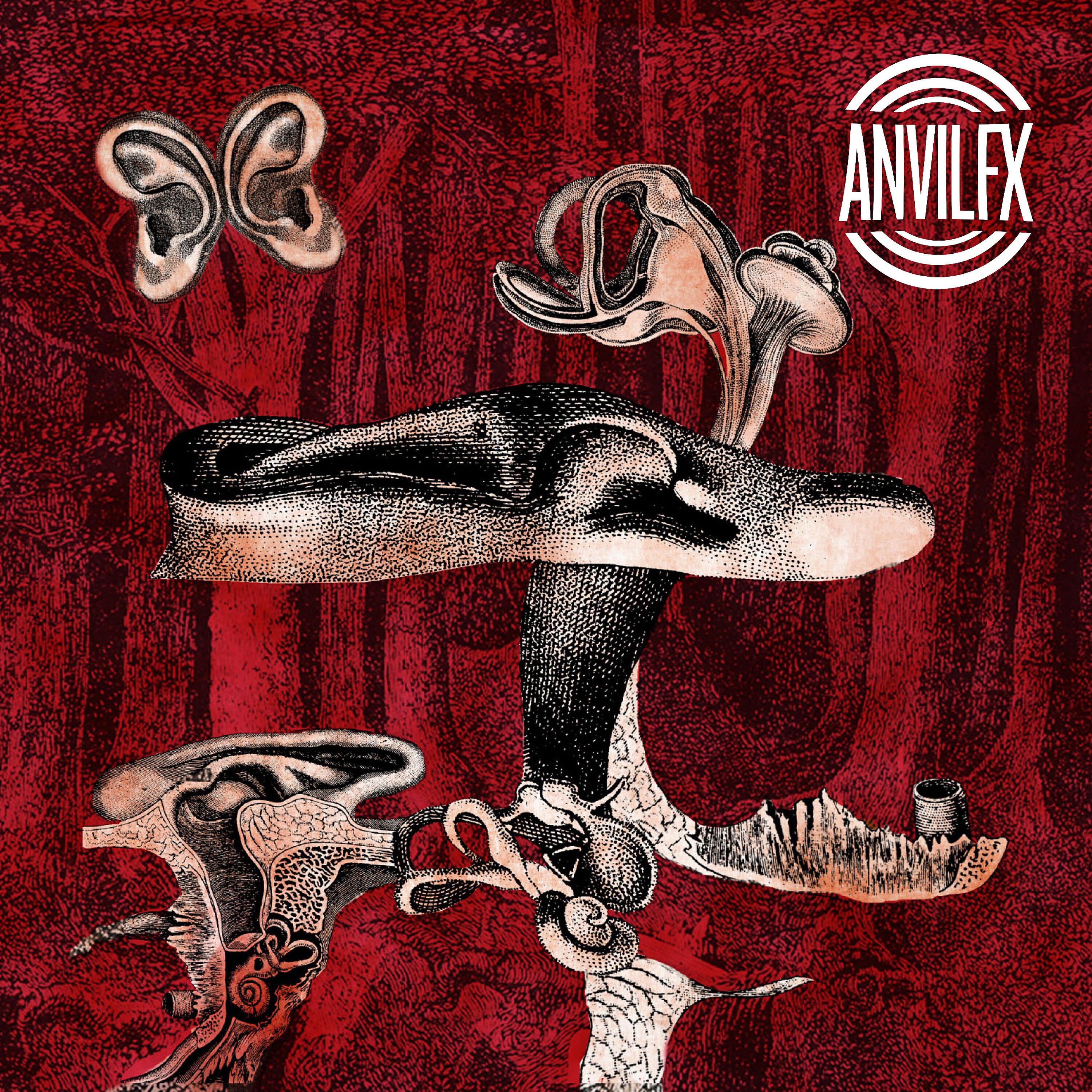 Anvil FX - La Machine