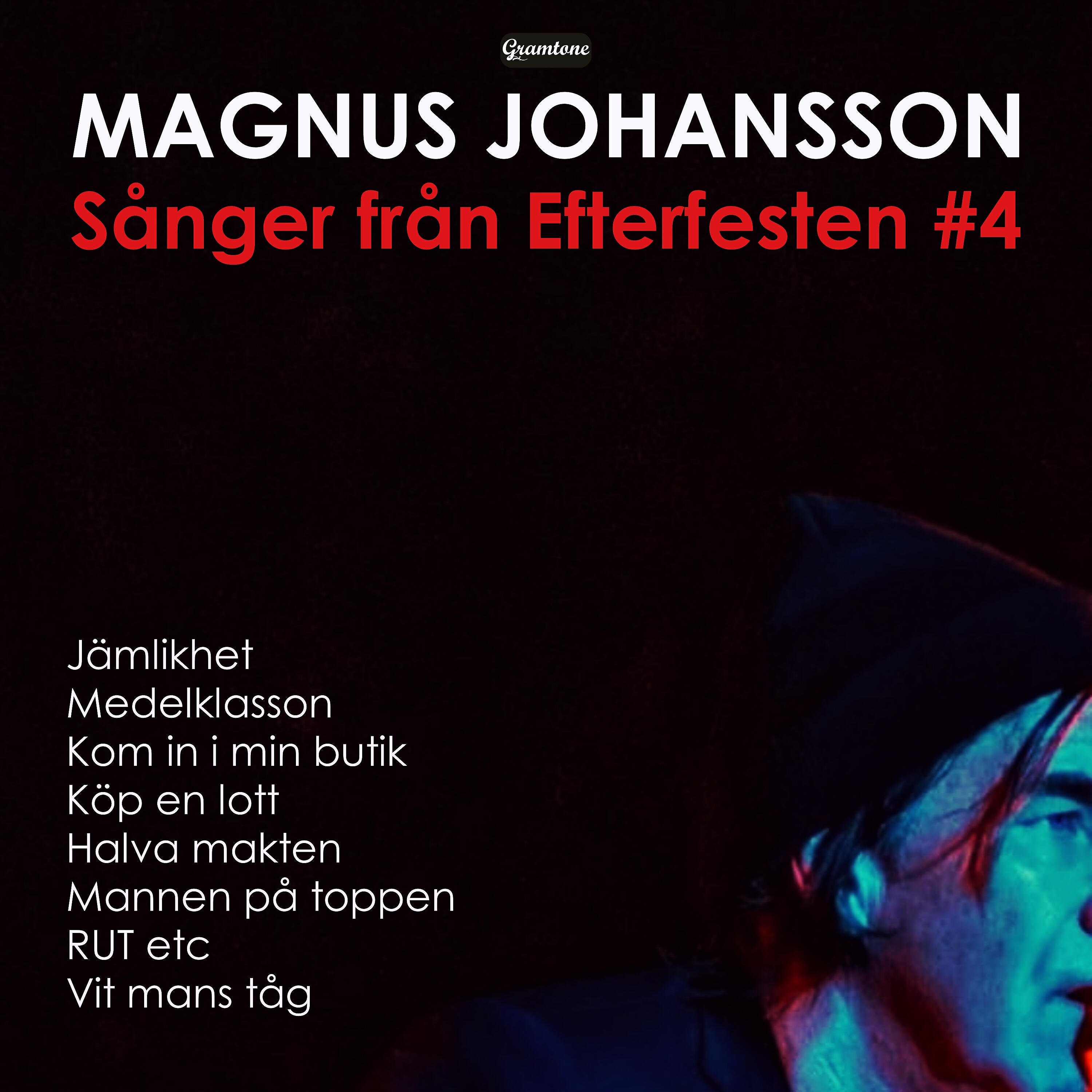Magnus Johansson - Halva makten