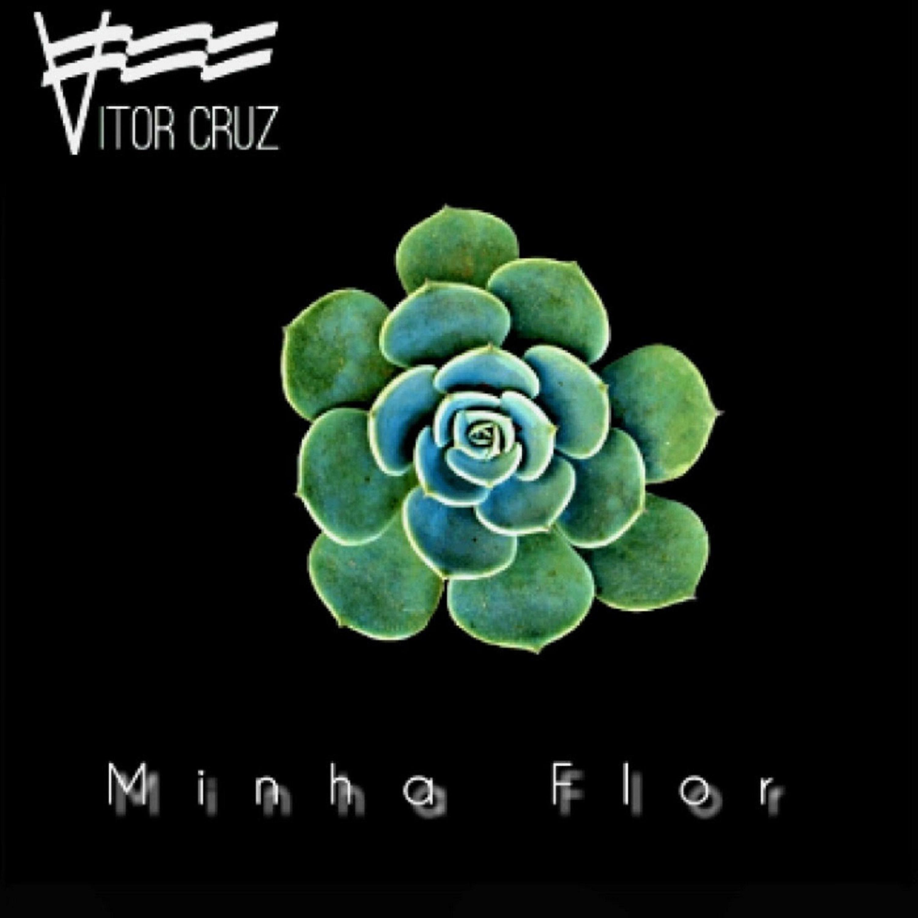 Постер альбома Minha Flor