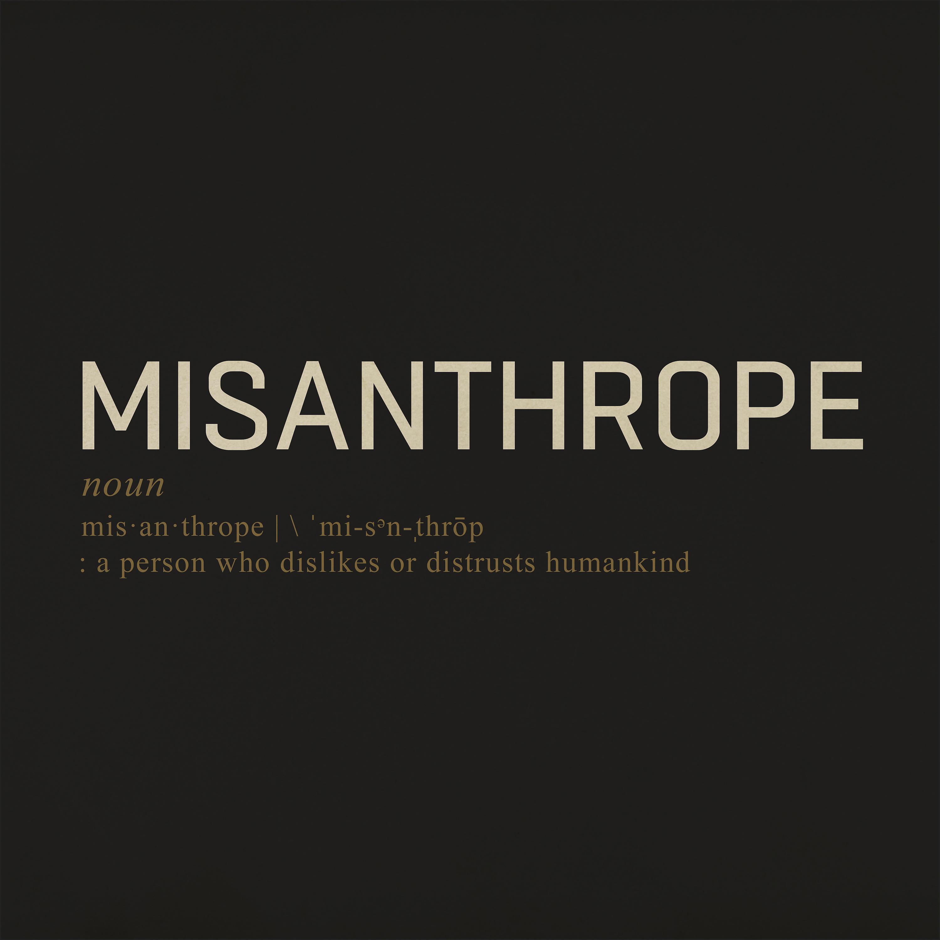 Постер альбома Misanthrope (Pop Version)