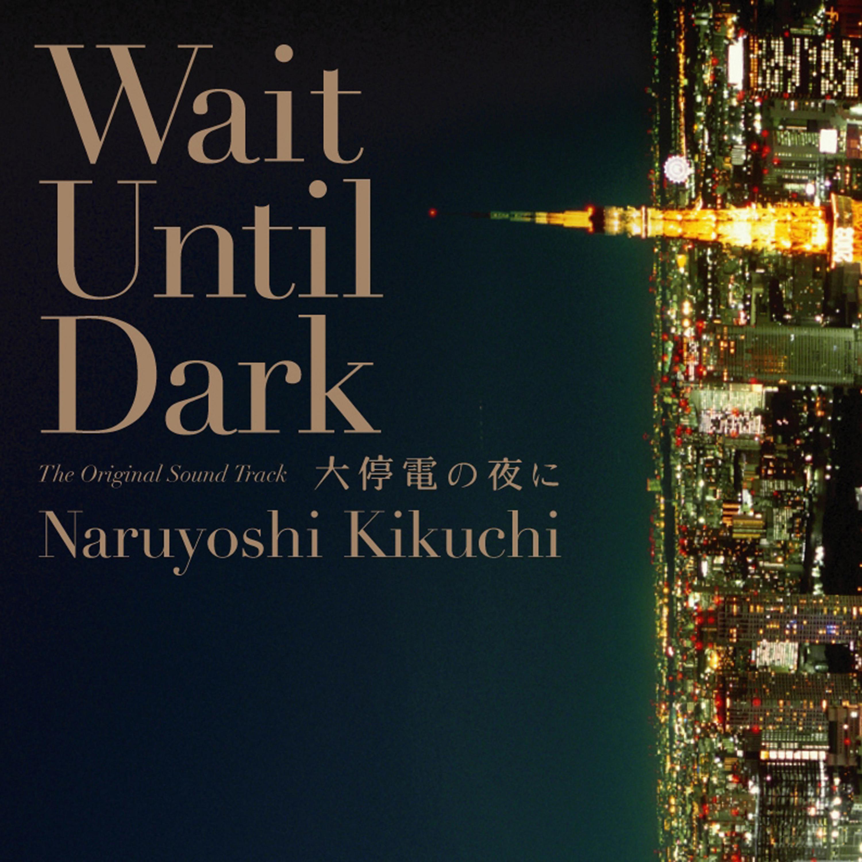 Постер альбома Wait Until Dark The Original Sound Track
