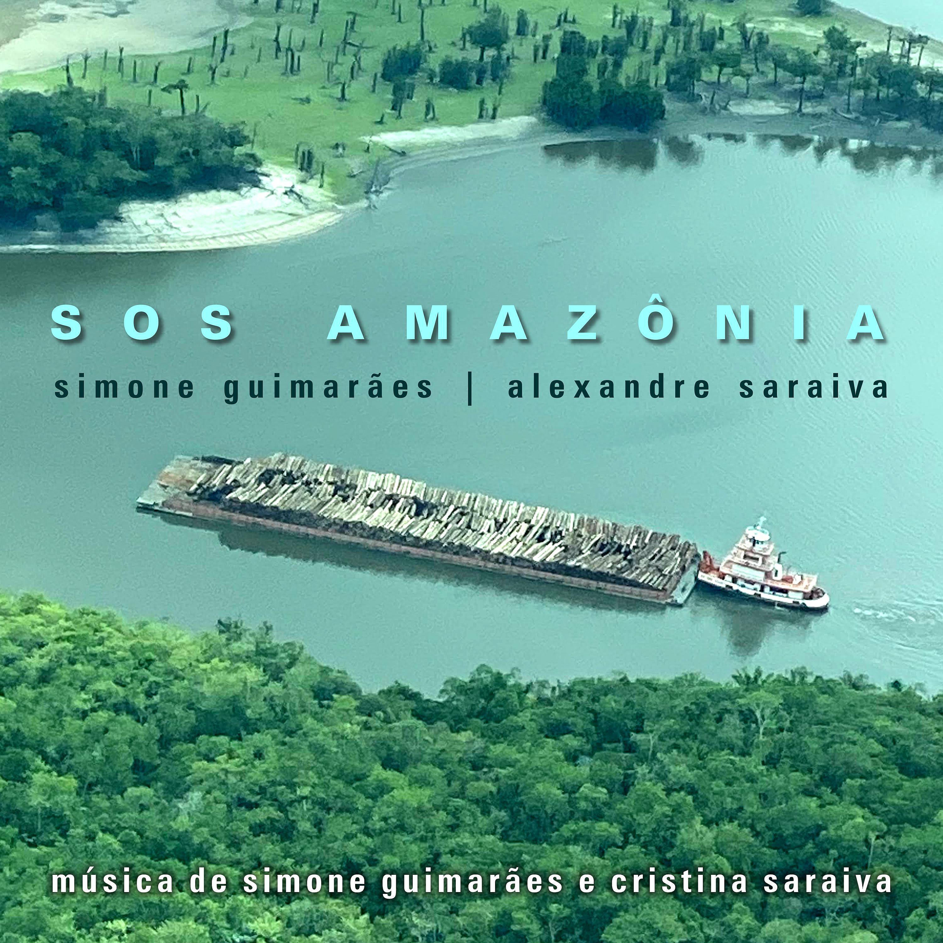 Постер альбома Sos Amazônia