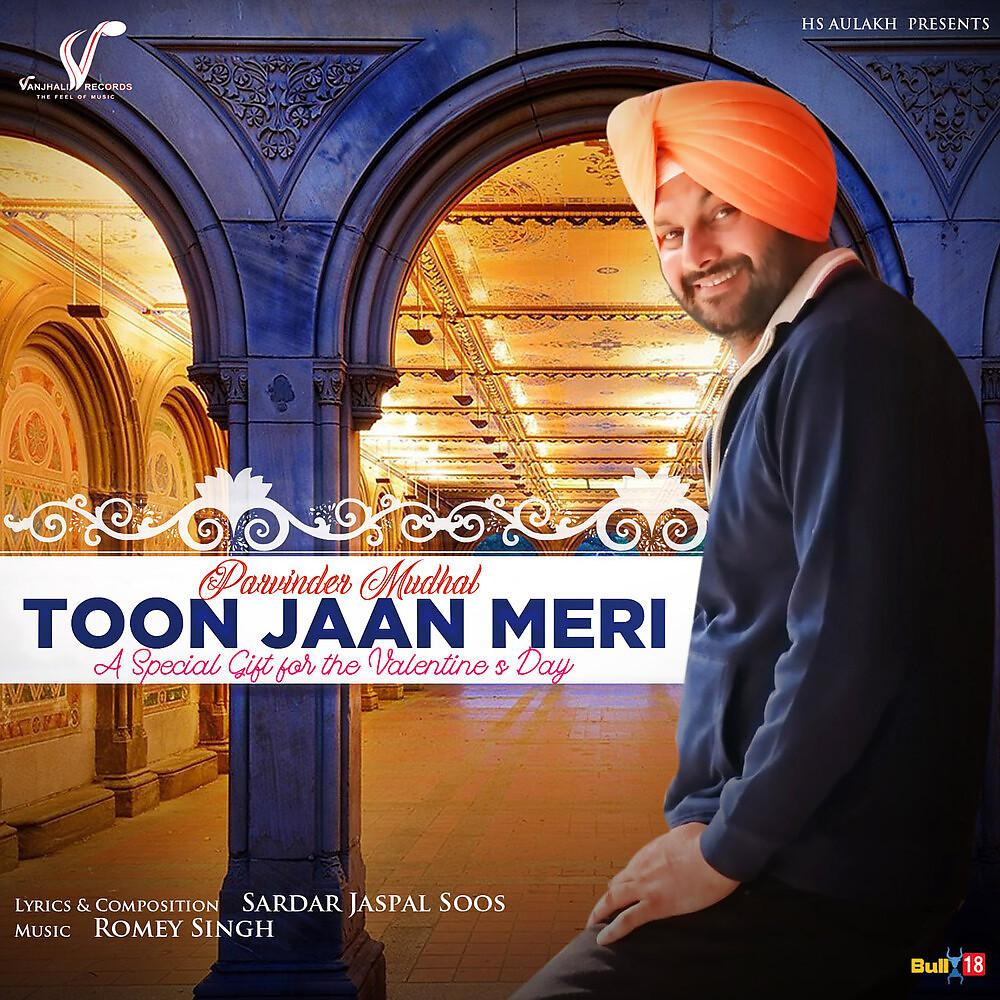 Постер альбома Toon Jaan Meri