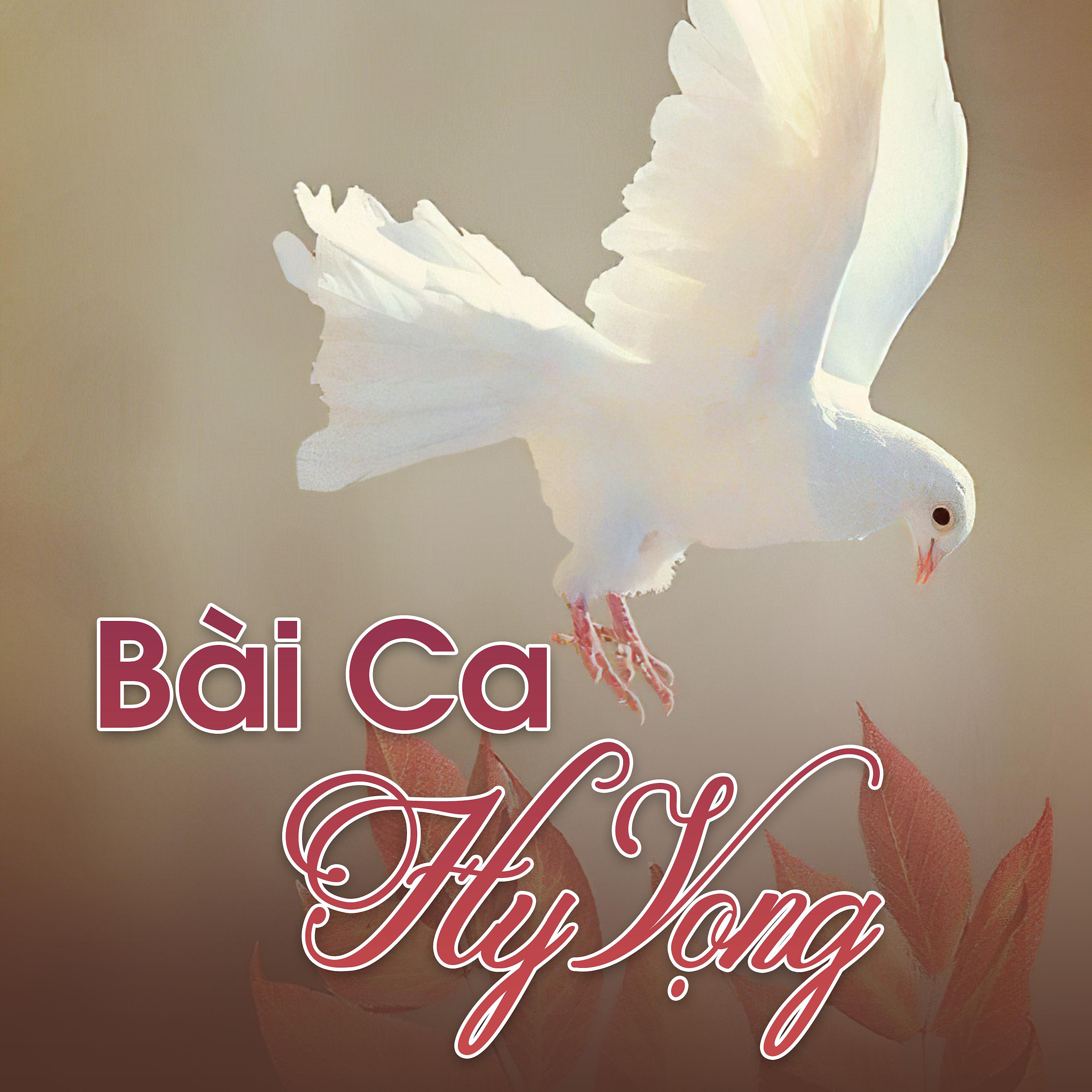 Постер альбома Bài Ca Hy Vọng