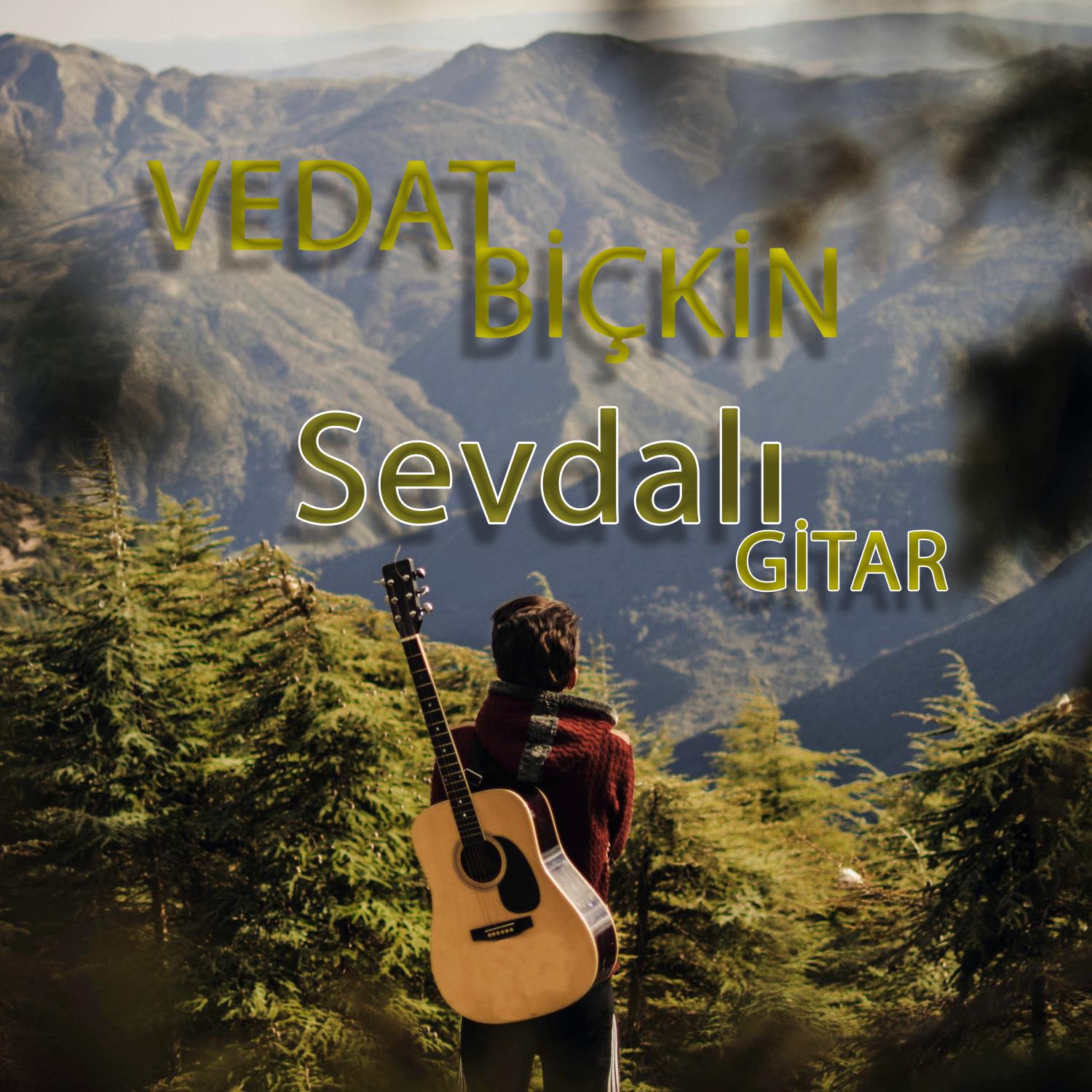 Постер альбома Sevdalı Gitar