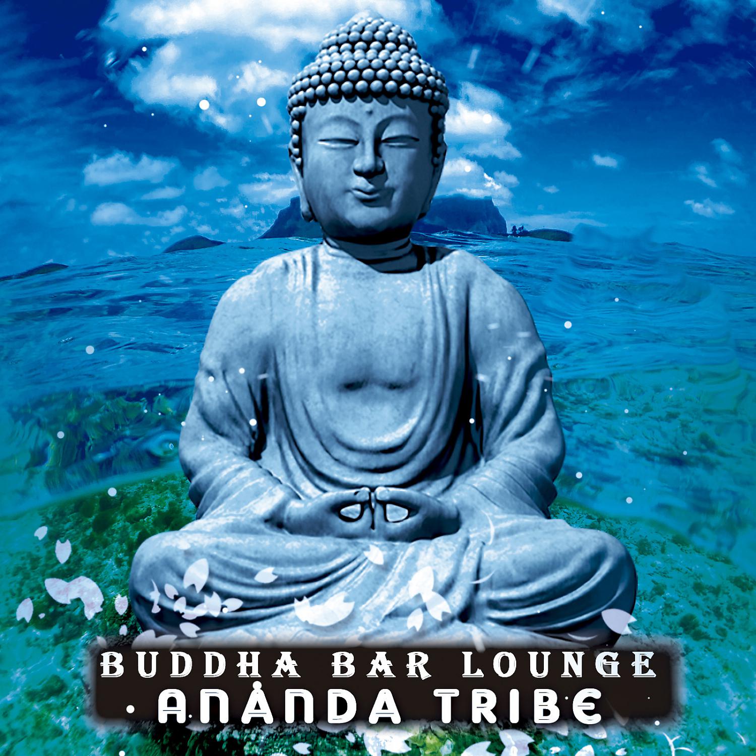 Постер альбома Ananda Tribe