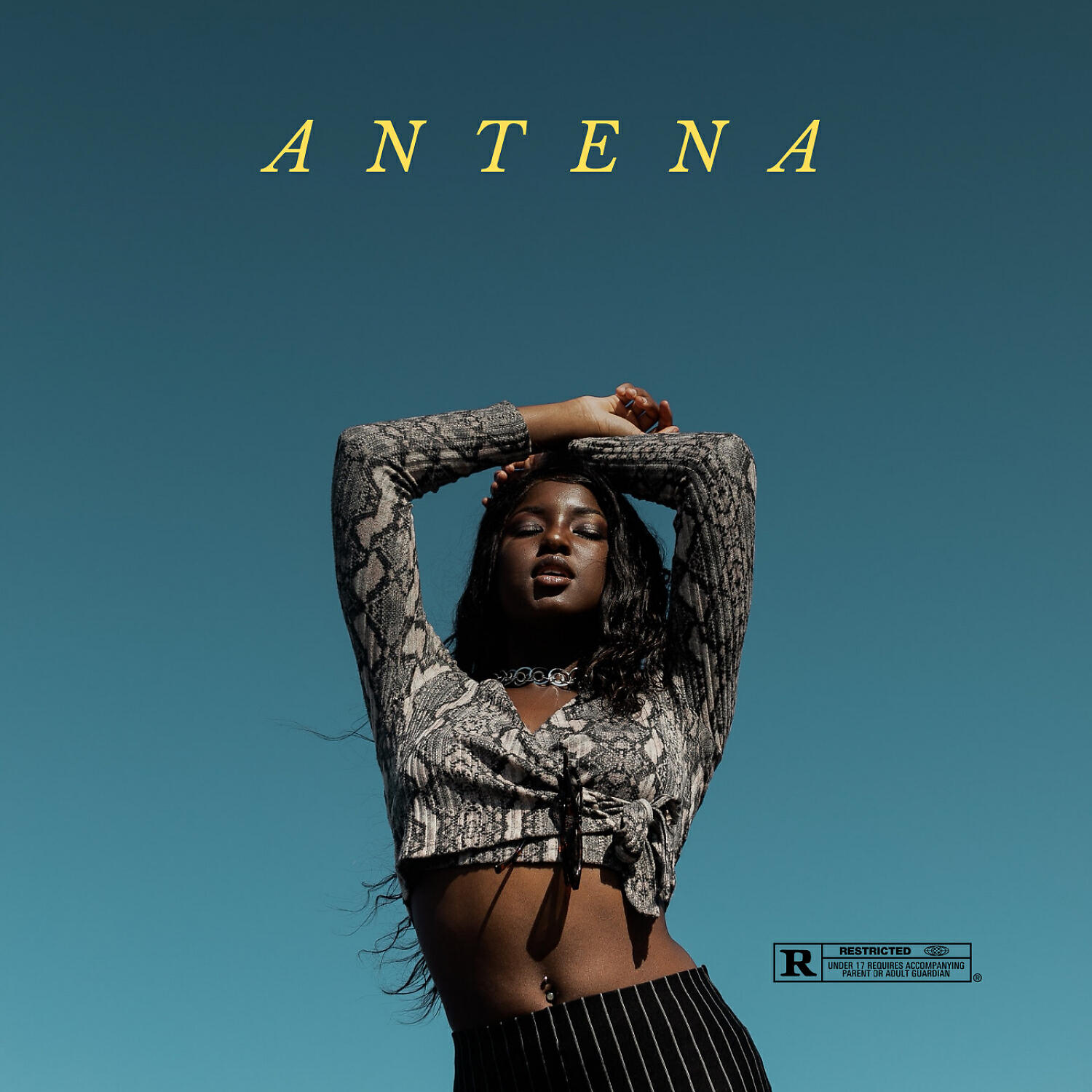 Kastro - Antena