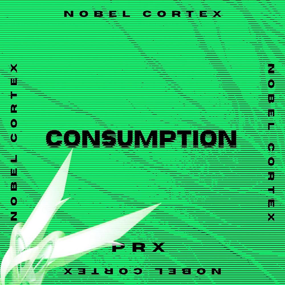 Постер альбома Consumption
